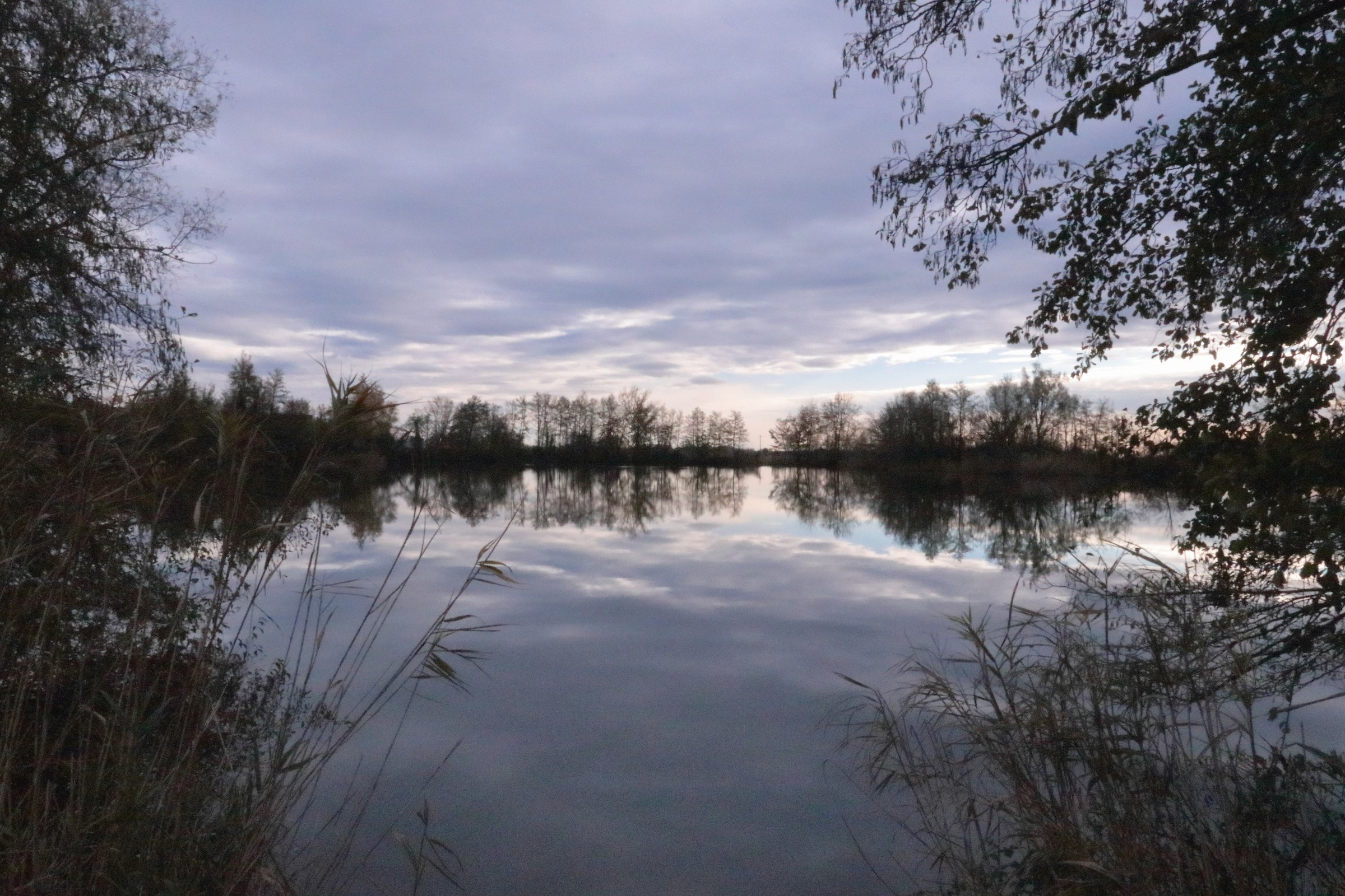 I riflessi e i  contorni sul fiume all'alba