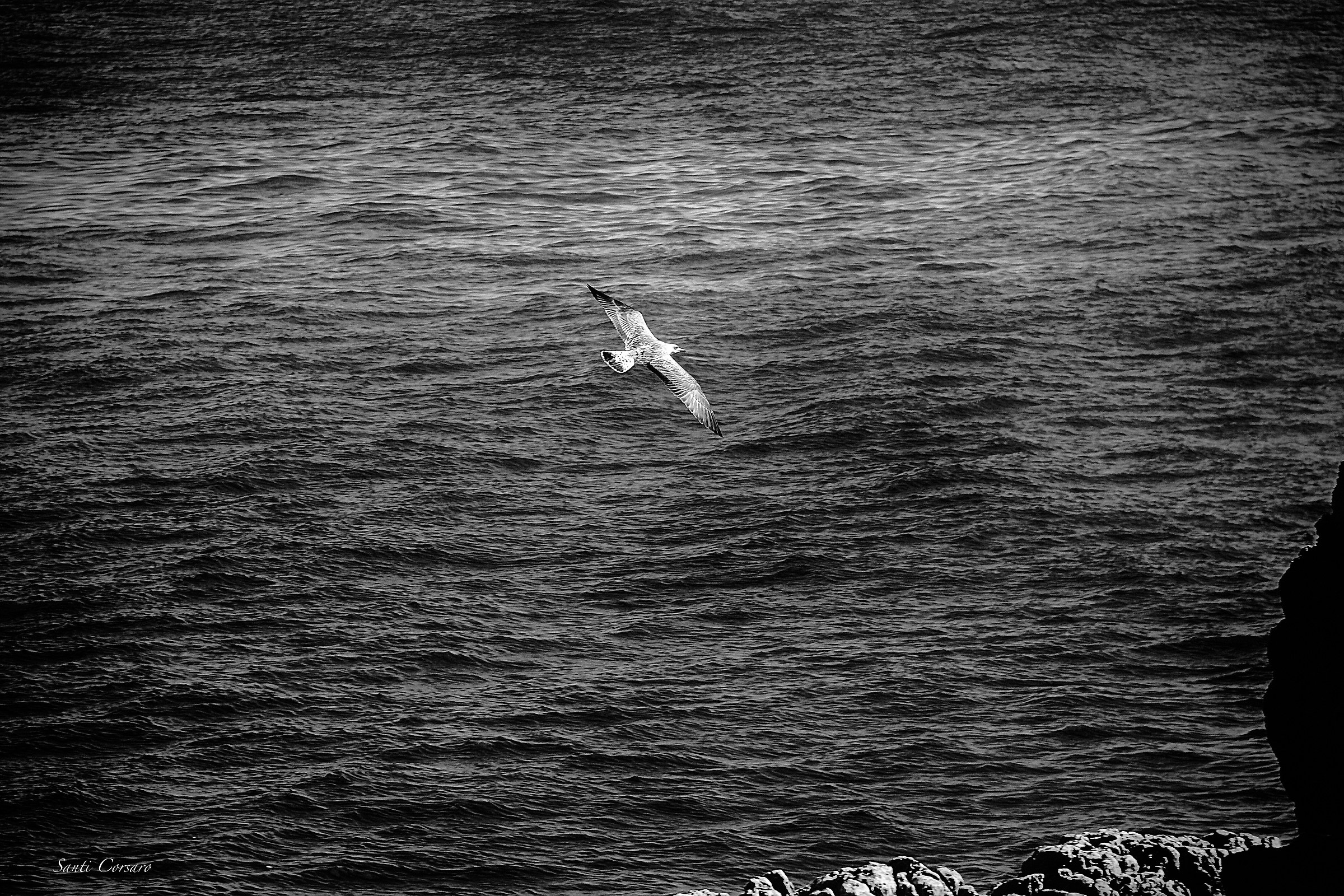 Tornando a casa a braccia aperte