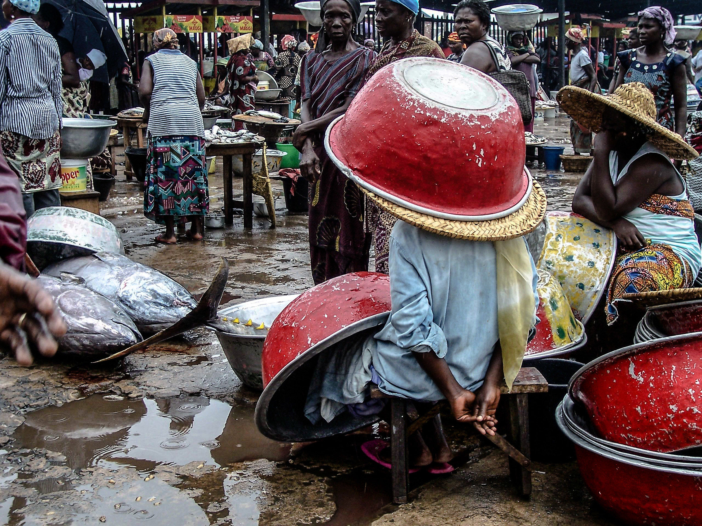 Pinne gialle, coperchio rosso