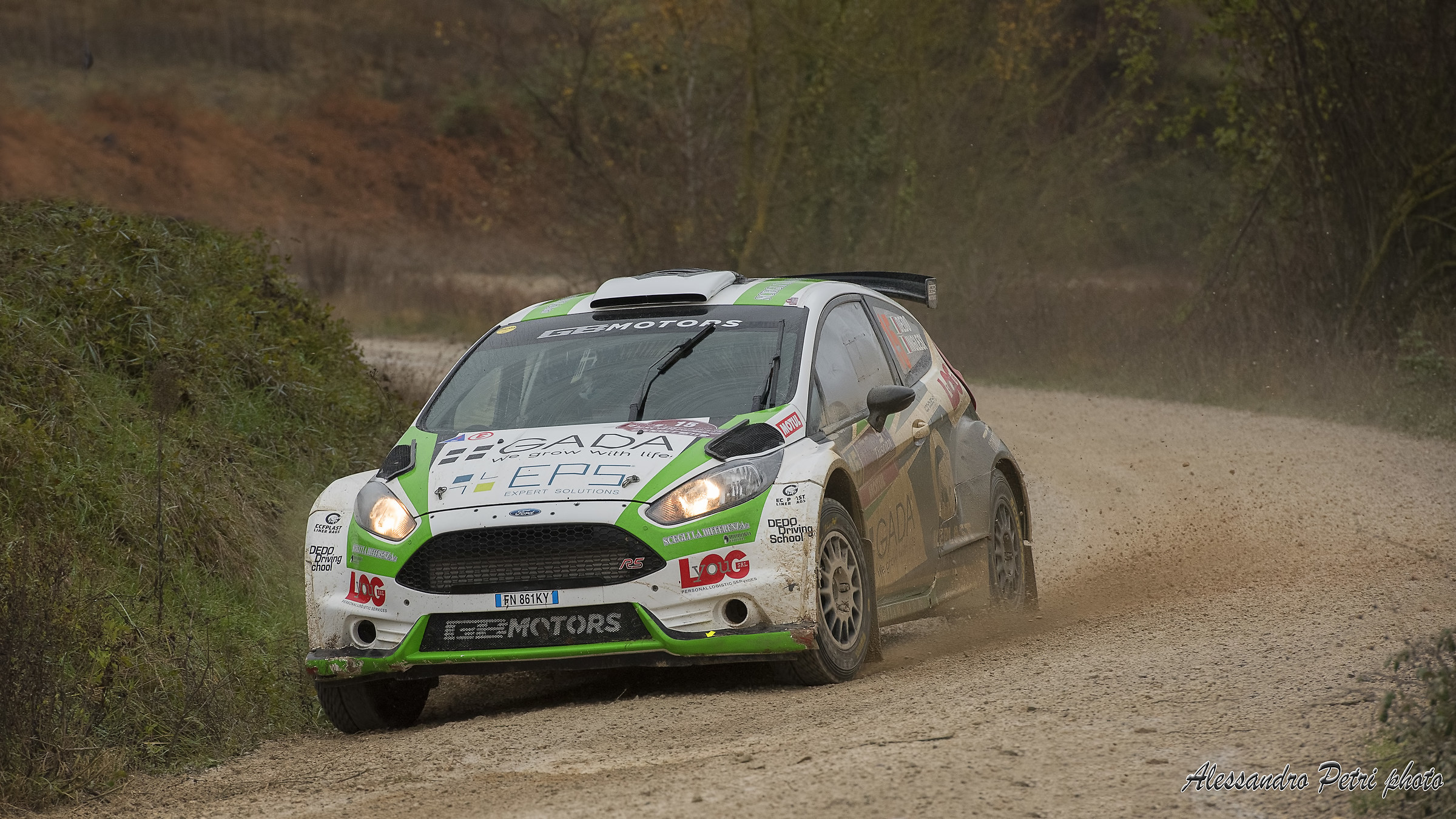 Dedo Ford Fiesta R5