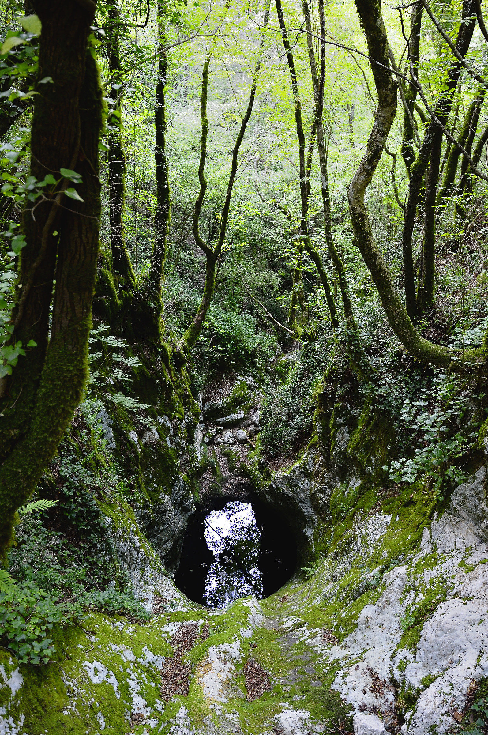 Descent to the Devil's Refuge