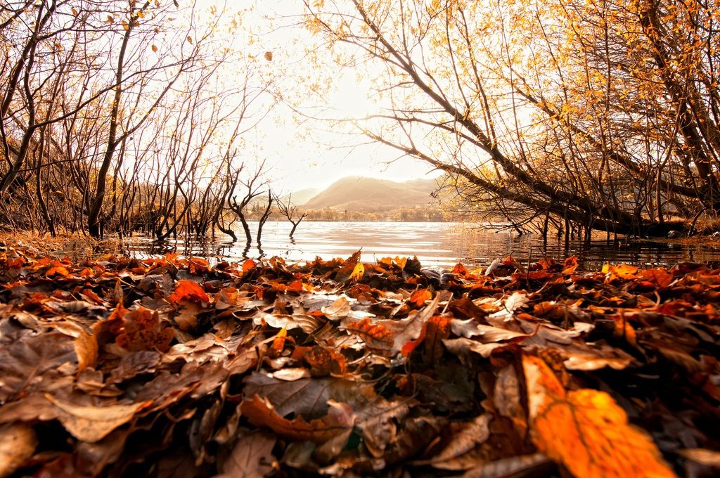 Lake District - Cumbria - UK