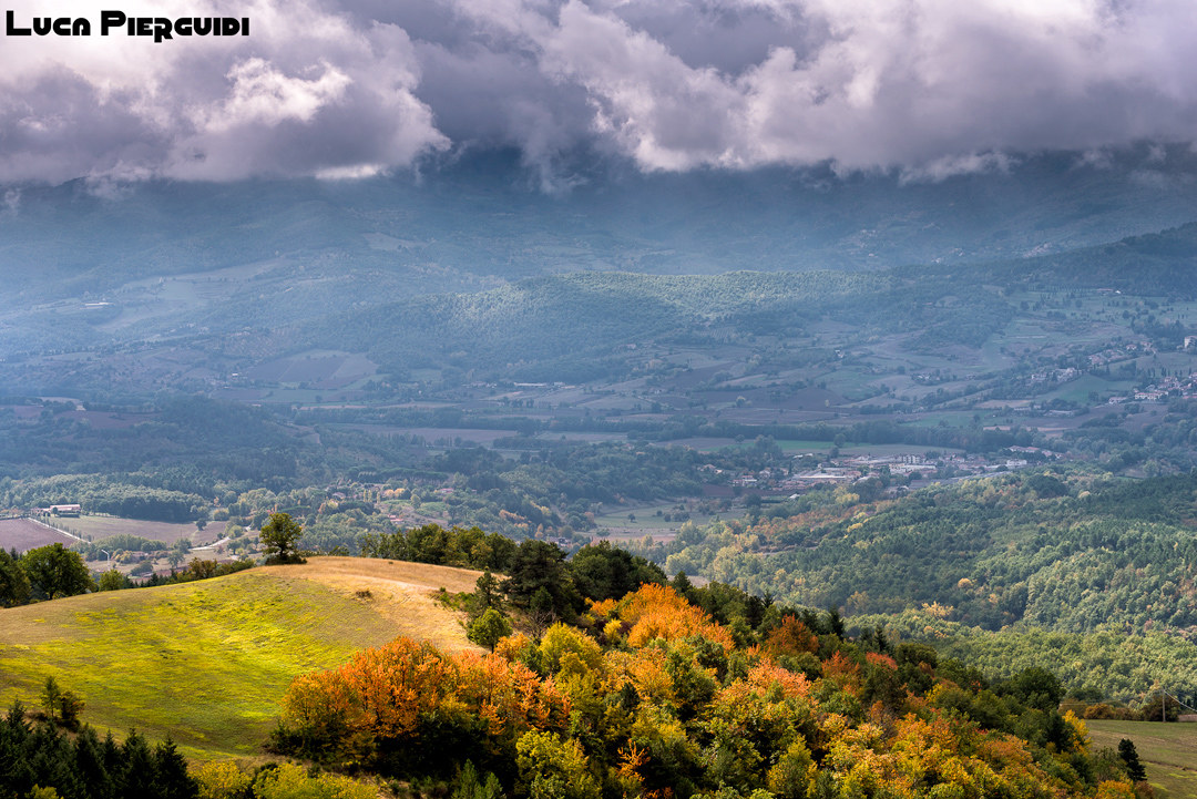 Paesaggio casentinese