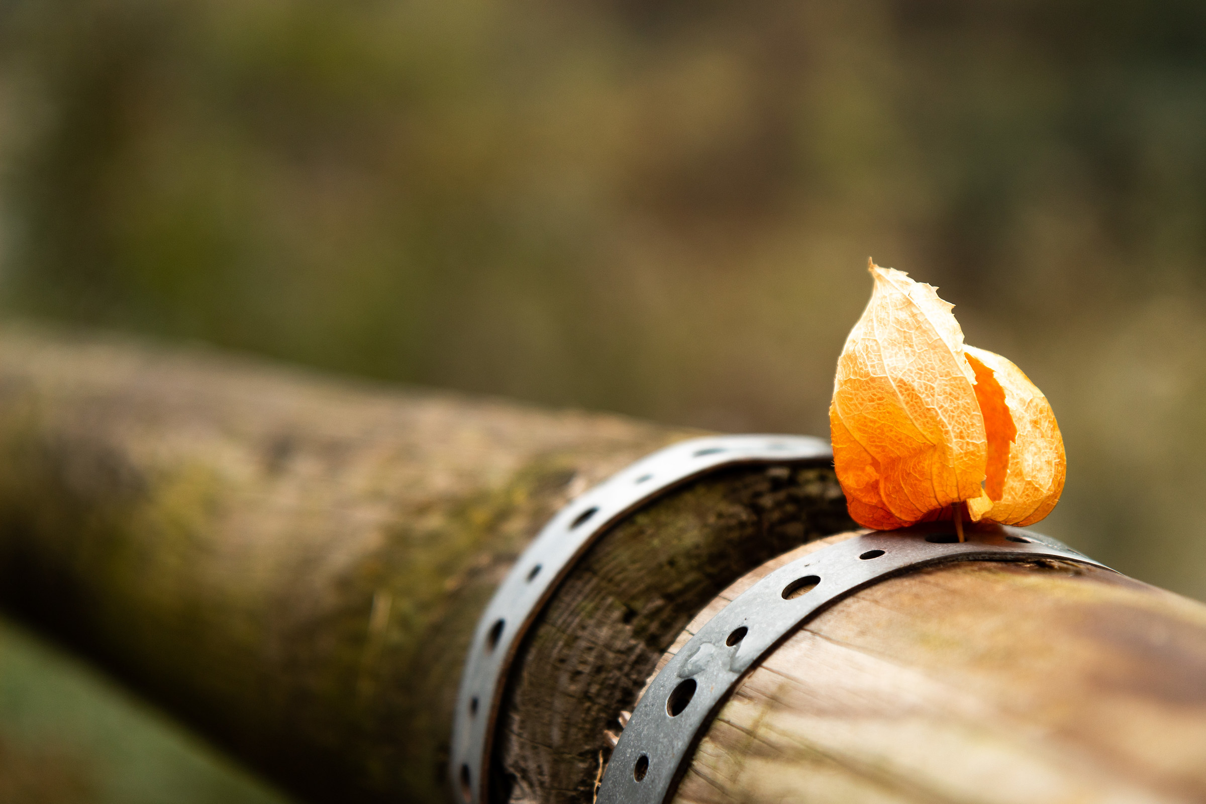 Neanche farlo apposta...