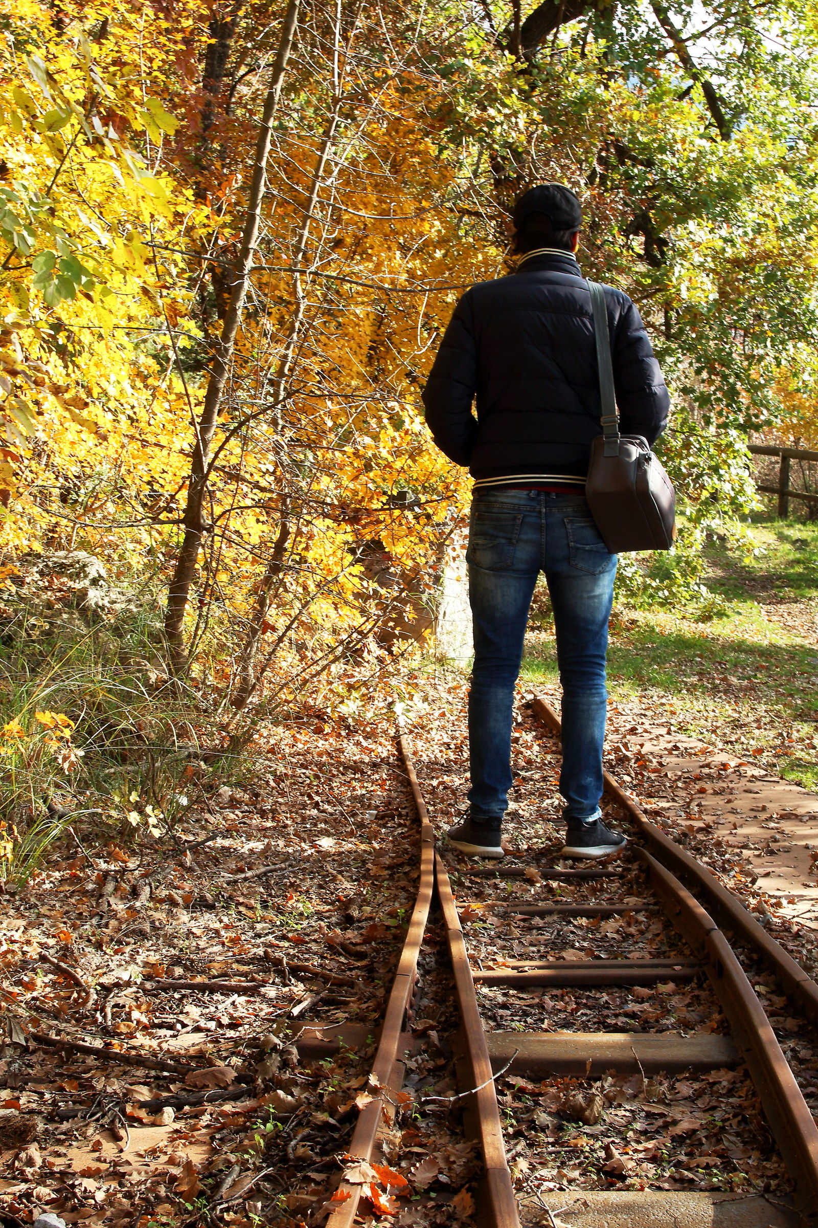 The Giant on the rails