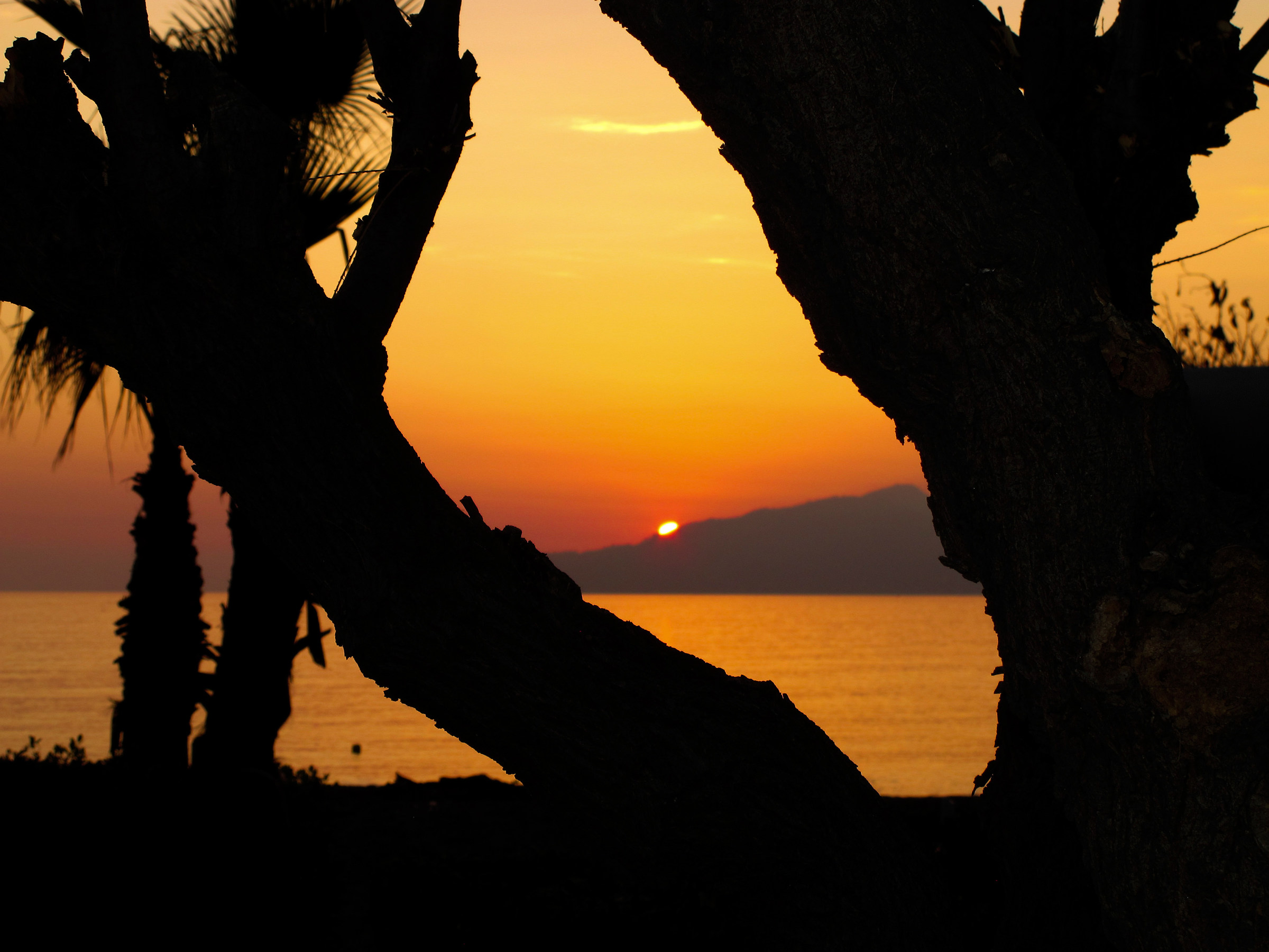tramonto in riva al mare