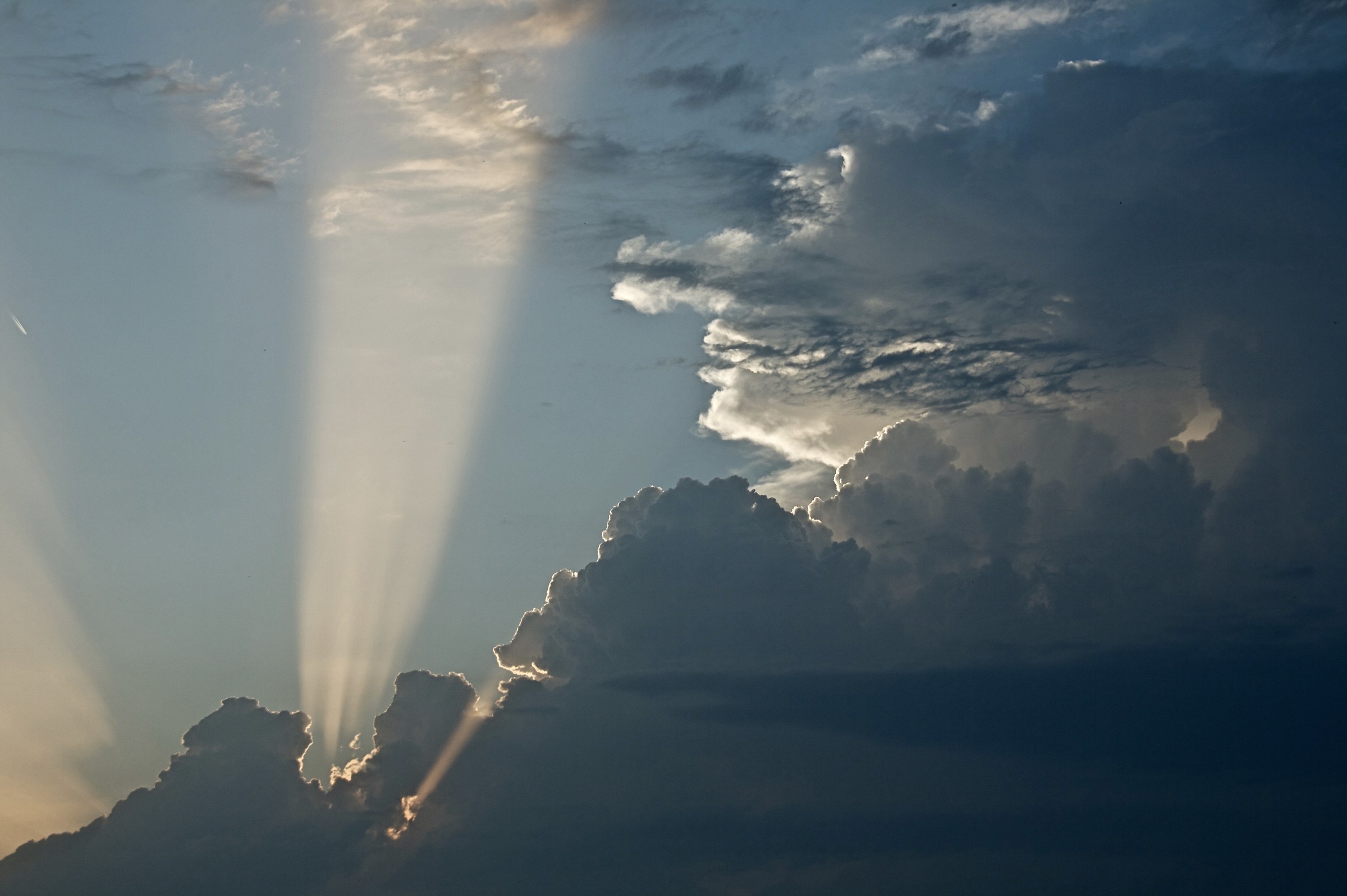 Proiezione della natura