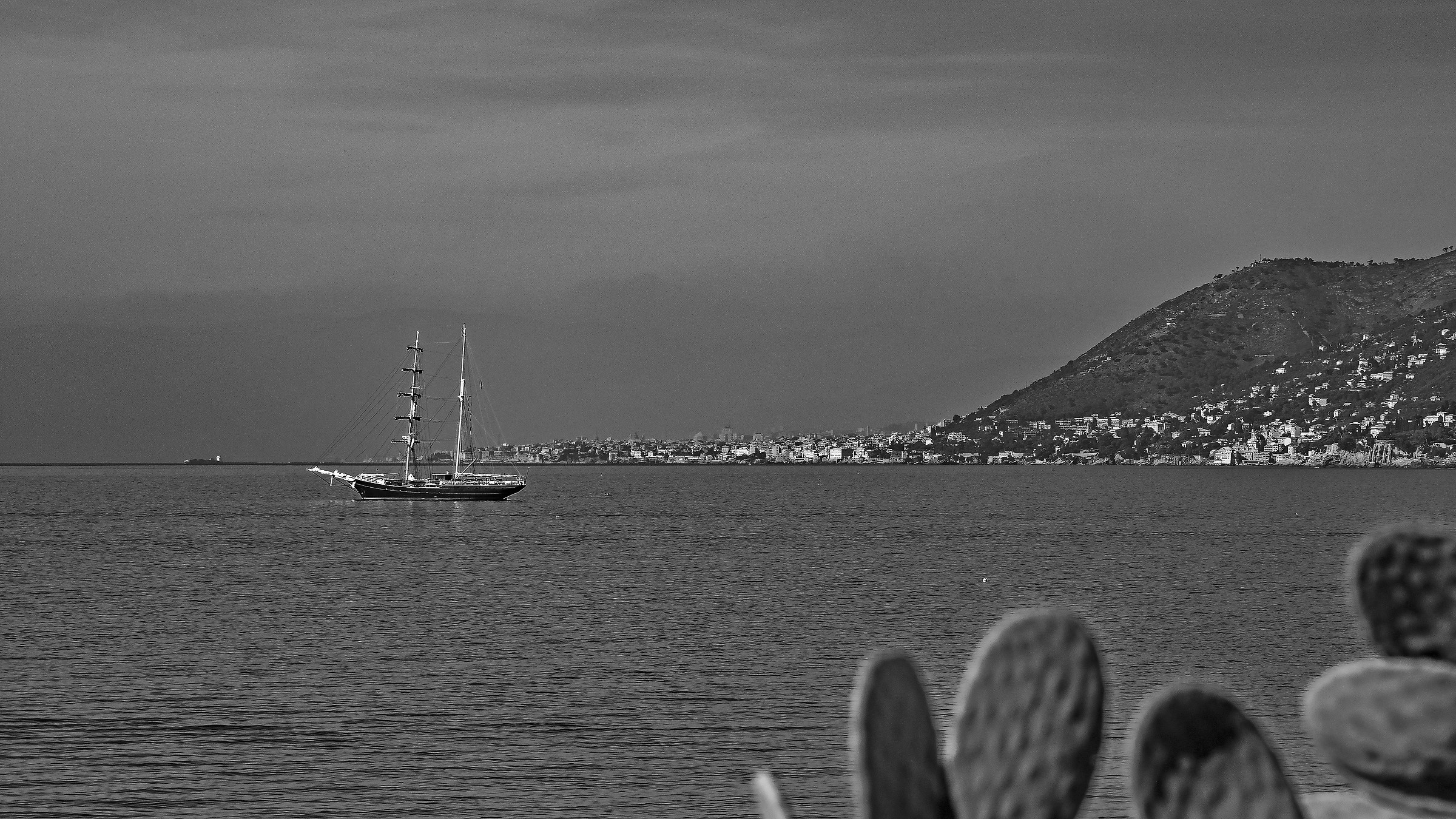 Genoa for us that we're at the bottom of the campaign