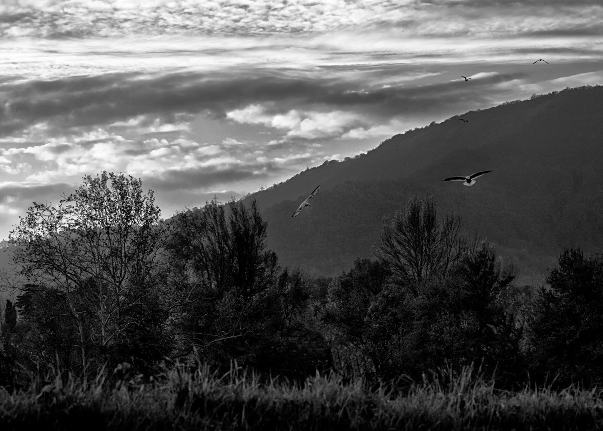 Una domenica di novembre