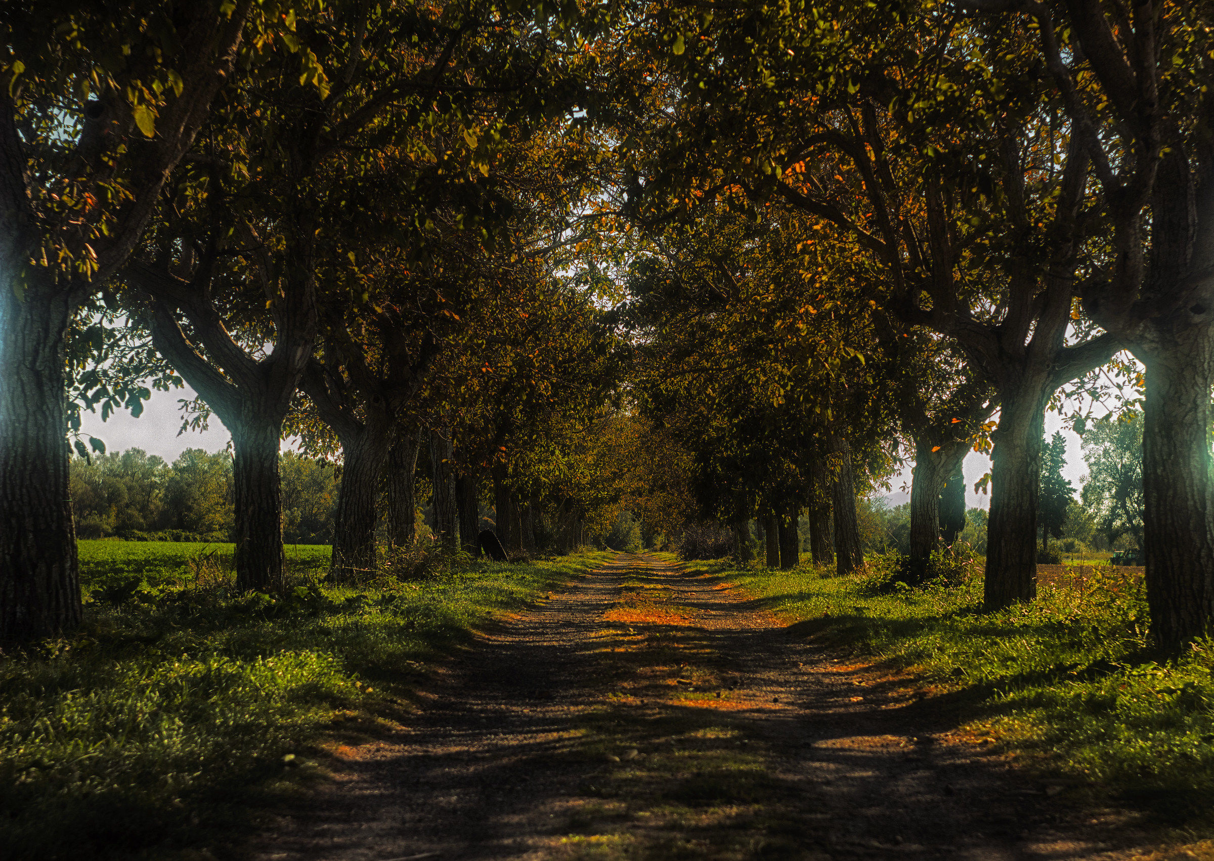 Autumn_Helios_44-02_Nik_Collection_HDR