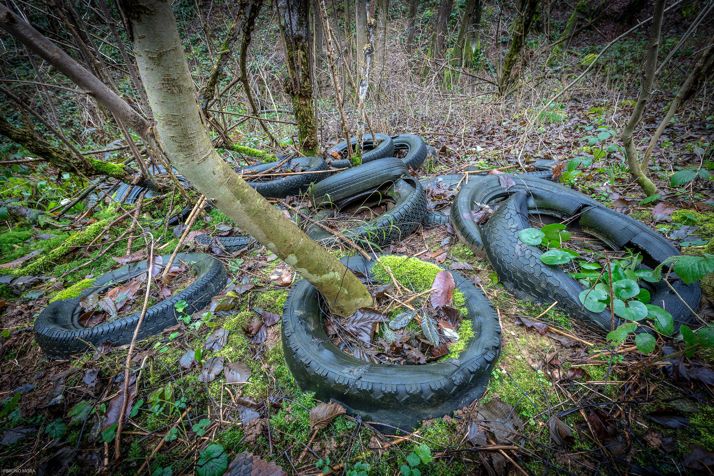 La Natura si riprende tutto, prima o poi.