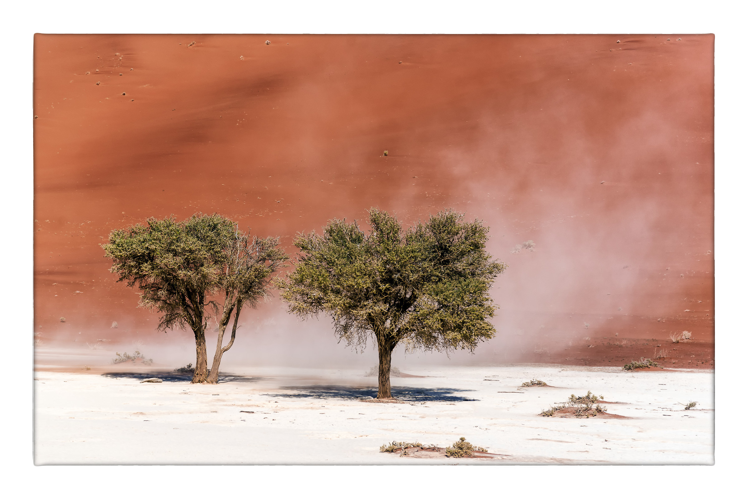Il deserto imbiancato dal vento