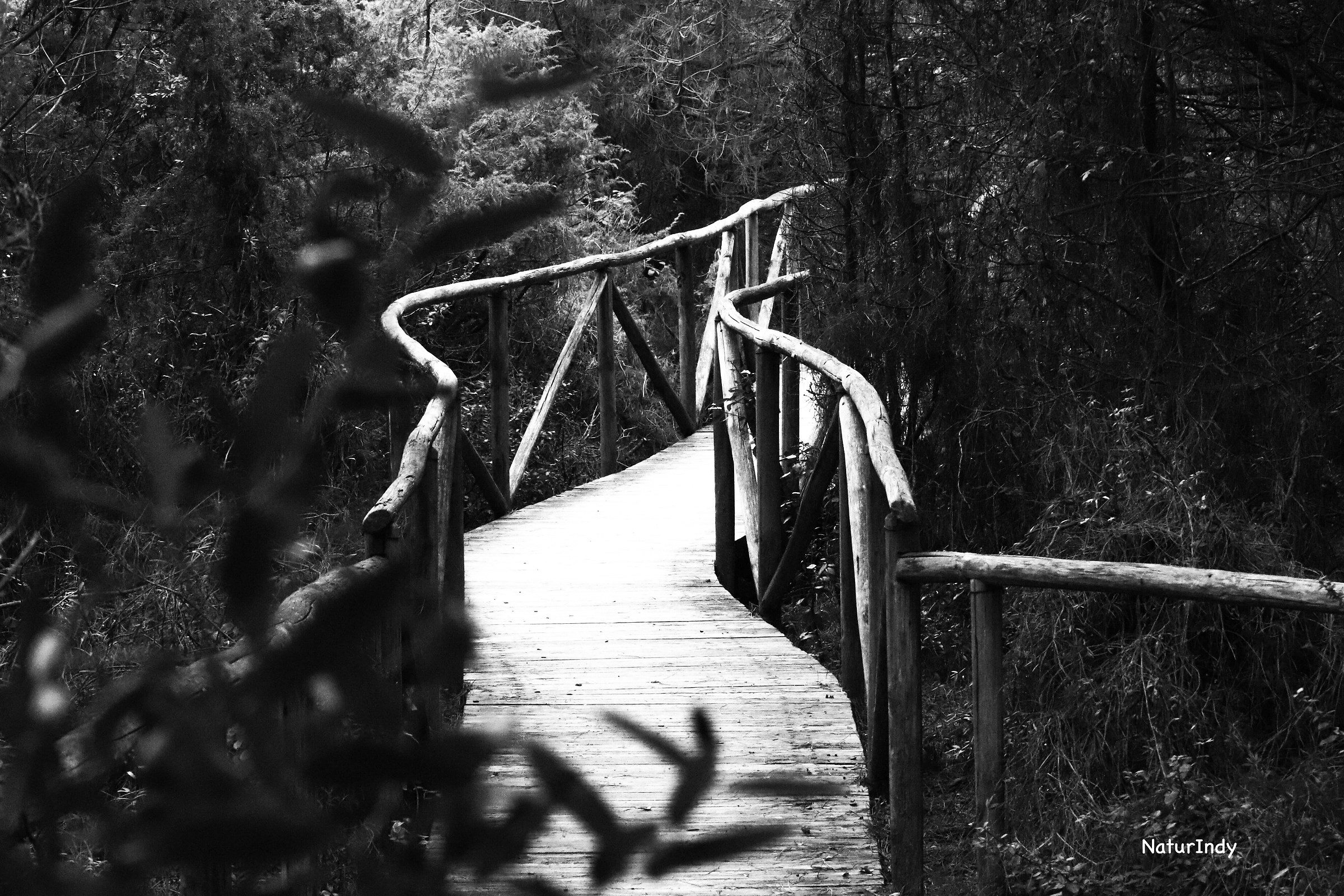 Streets to Enchanted Worlds