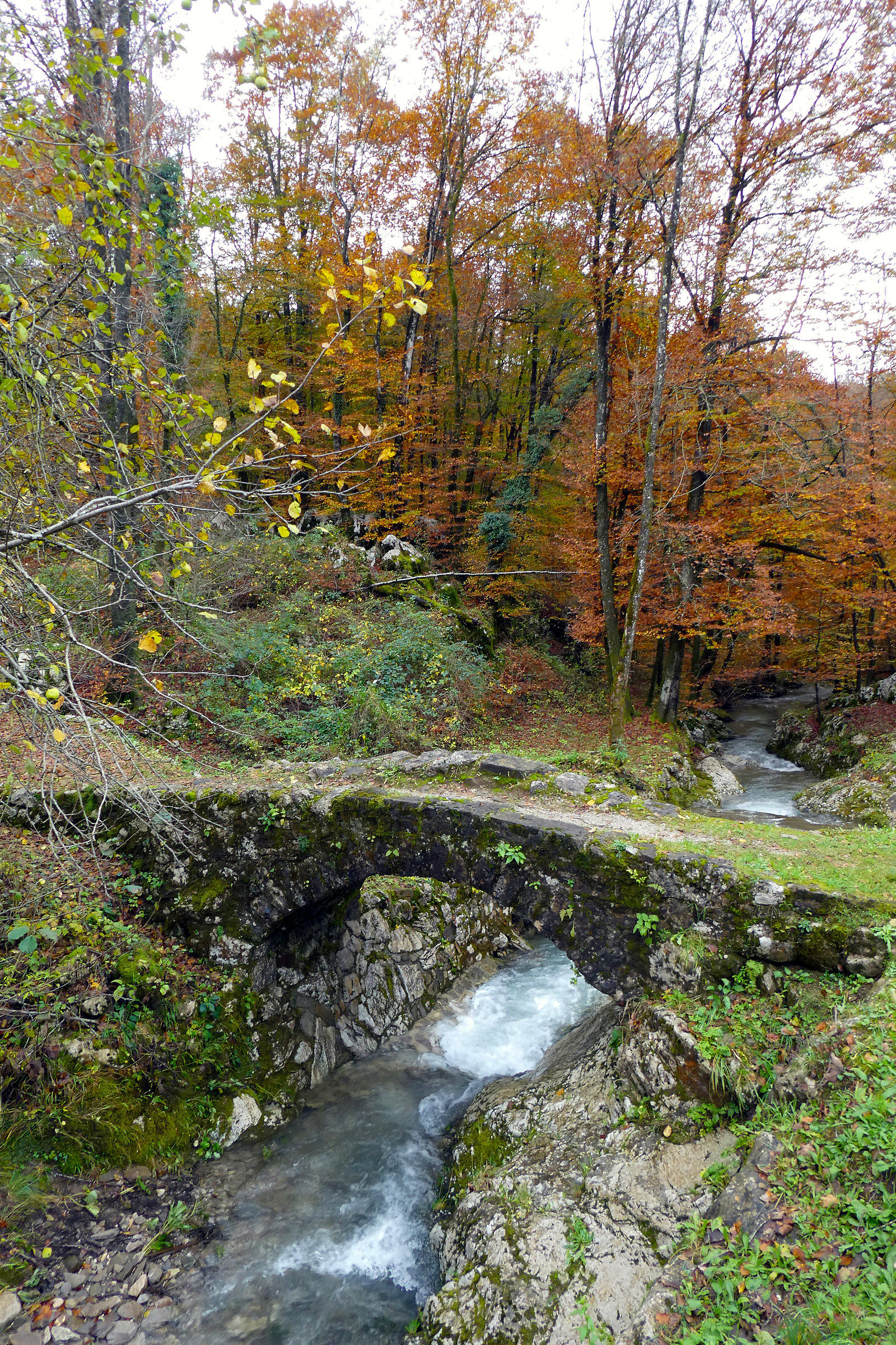 Stone Bridge at Pradis