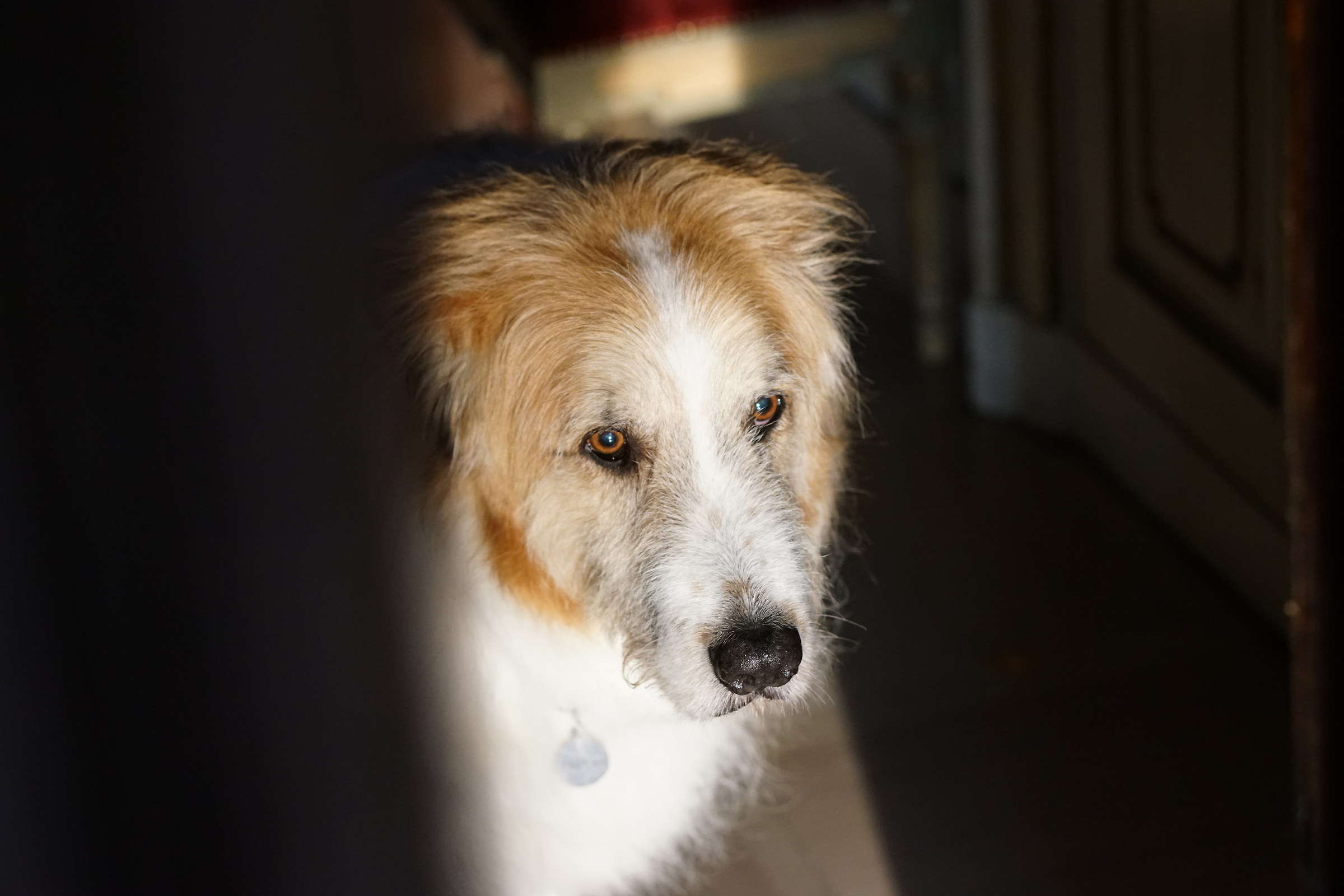 Il sole bacia i belli