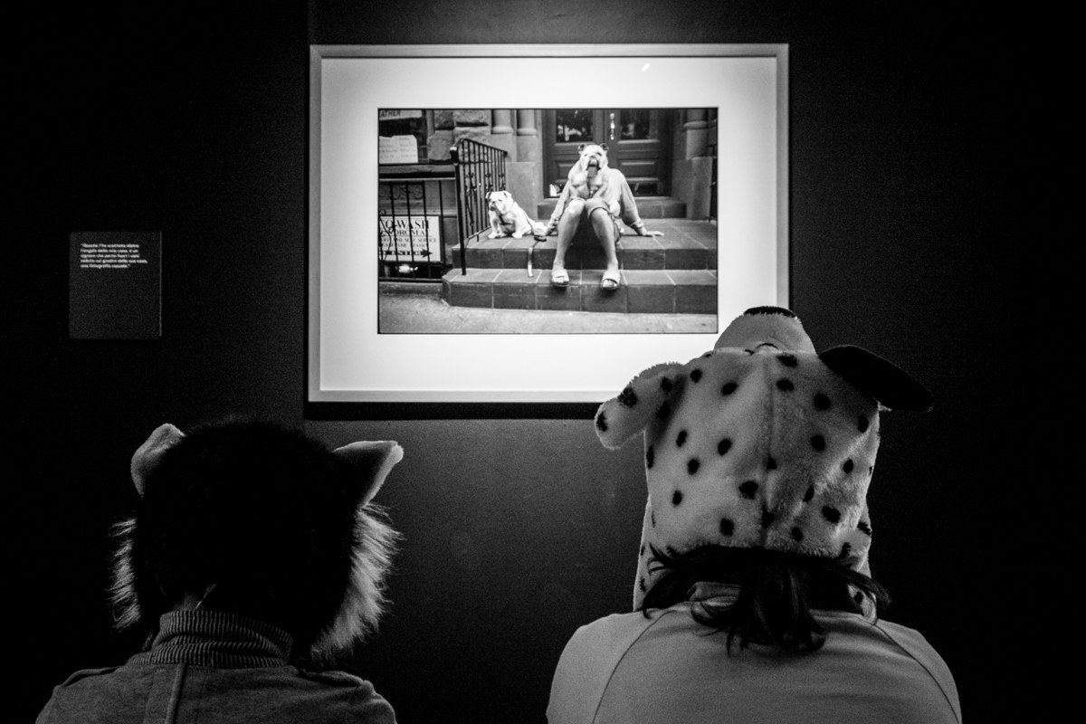 Tribute to Erwitt
