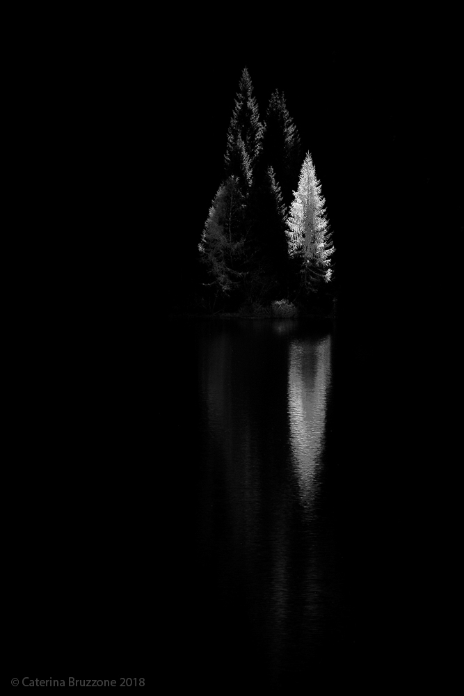 Who fails to make light is prayed not to make shade.