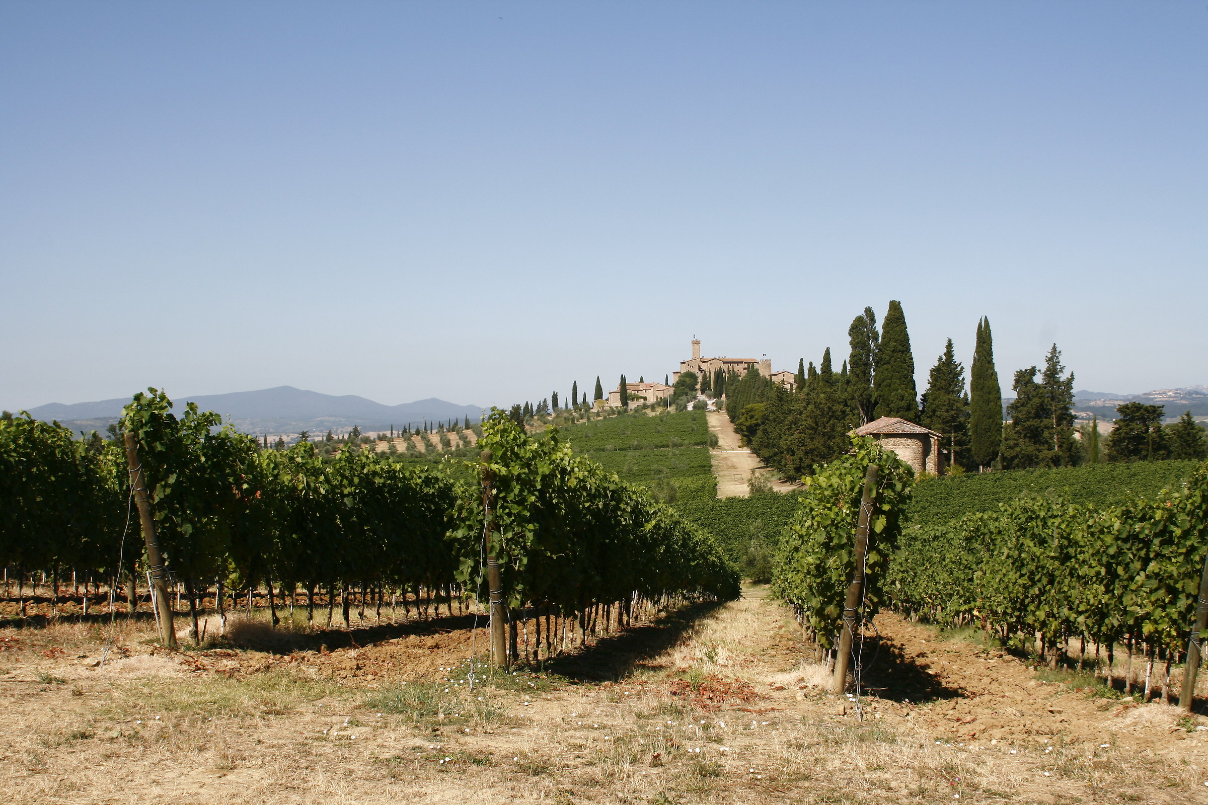 Castello Banfi-Brunello di Montancino