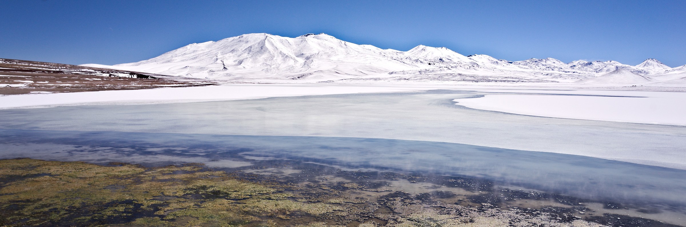 Laguna Blanca 4,350 MSM/Bolivia