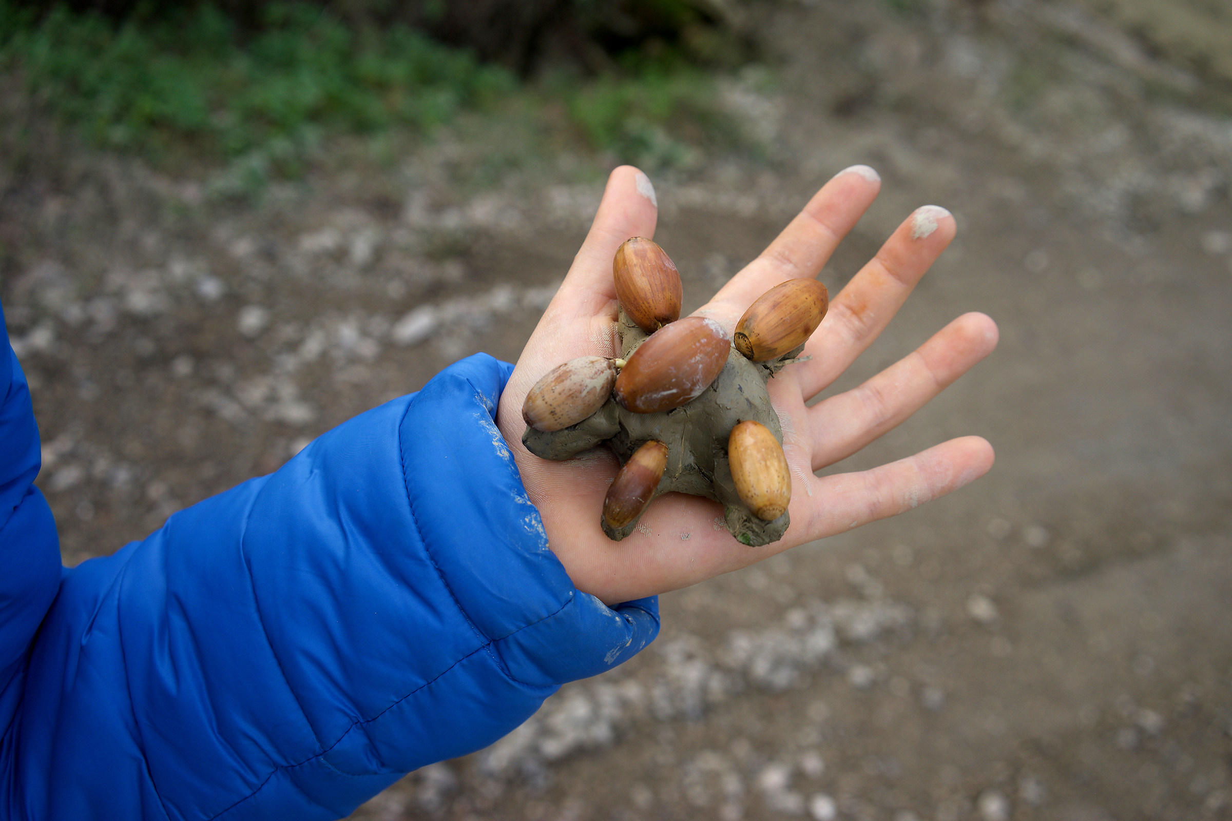 Creativity: Mud Puppet with Acorns
