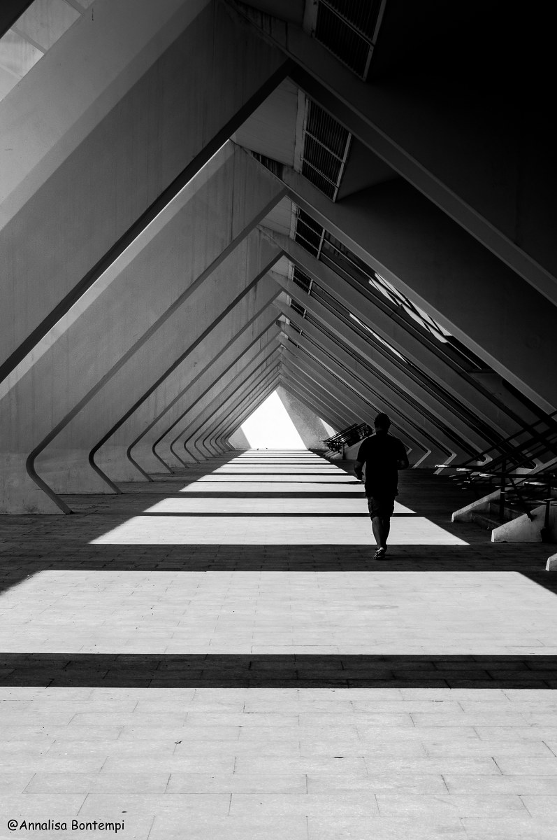 Walking in Calatrava's art