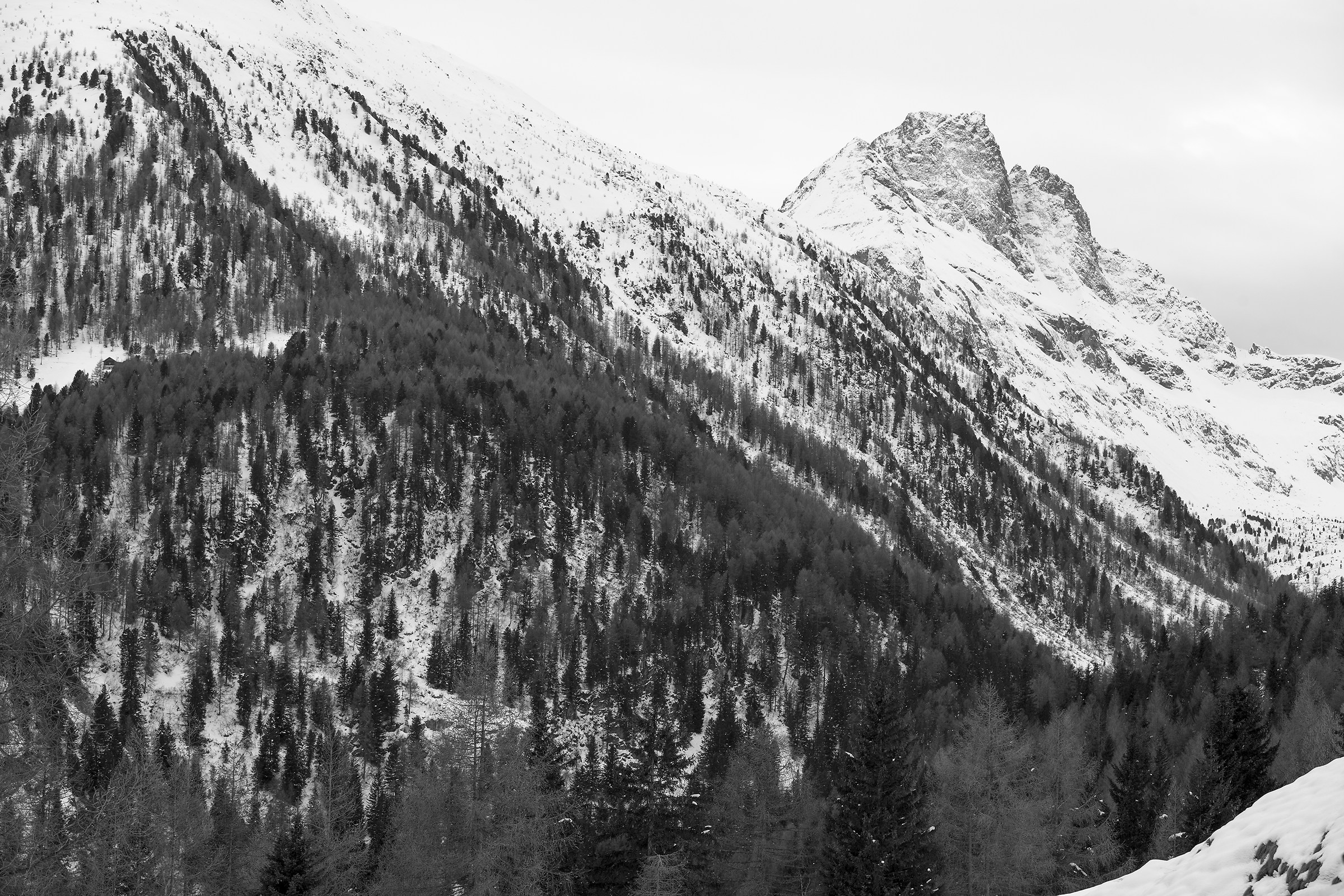 Svalvolati in Val Viola