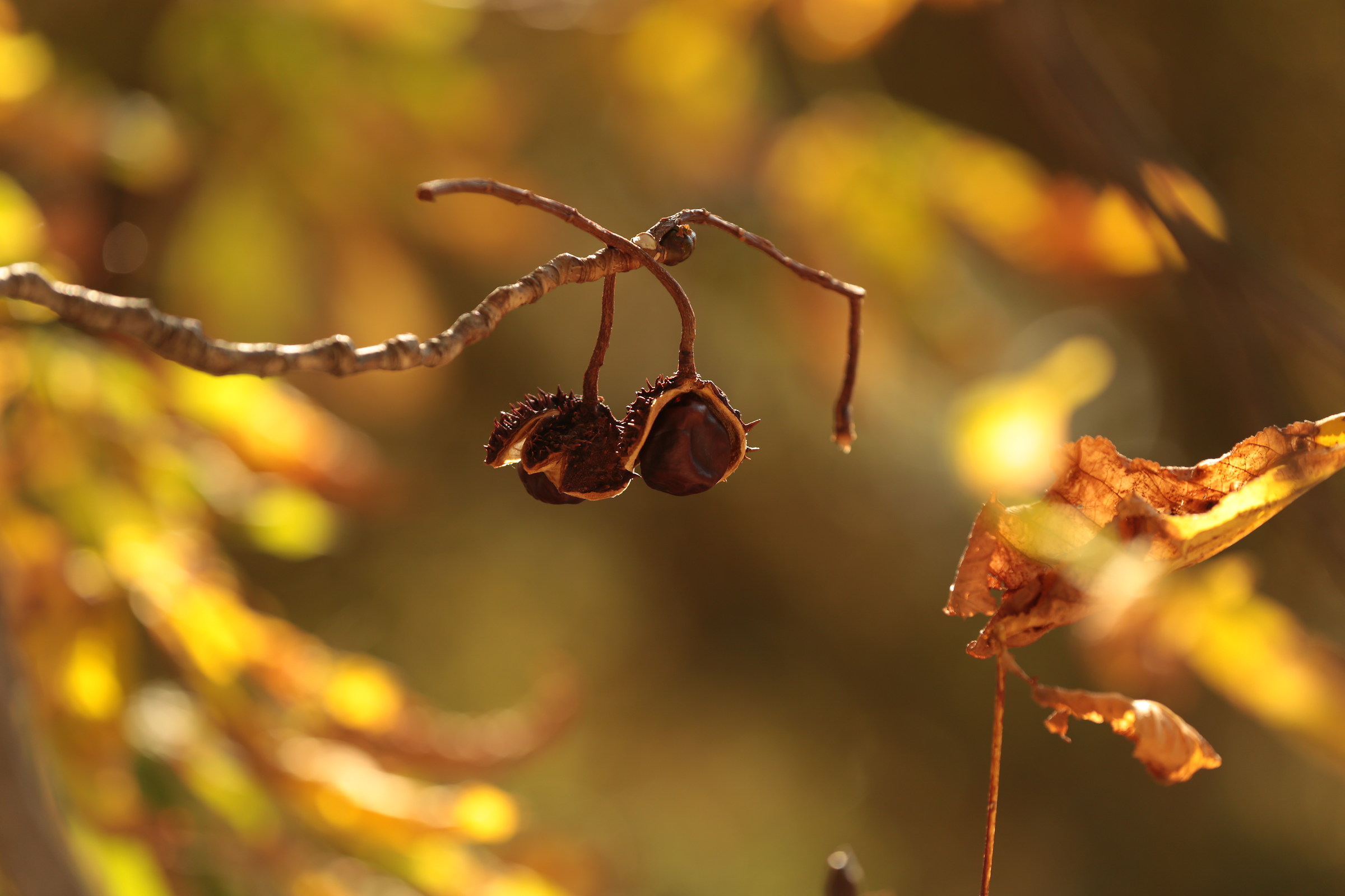 Between Heaven and earth