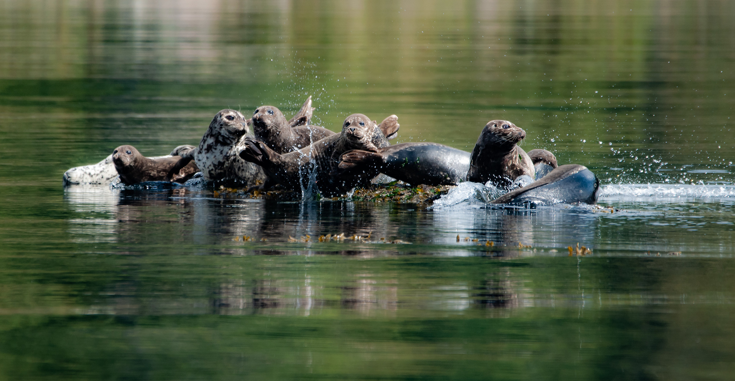 All together passionately gossiping