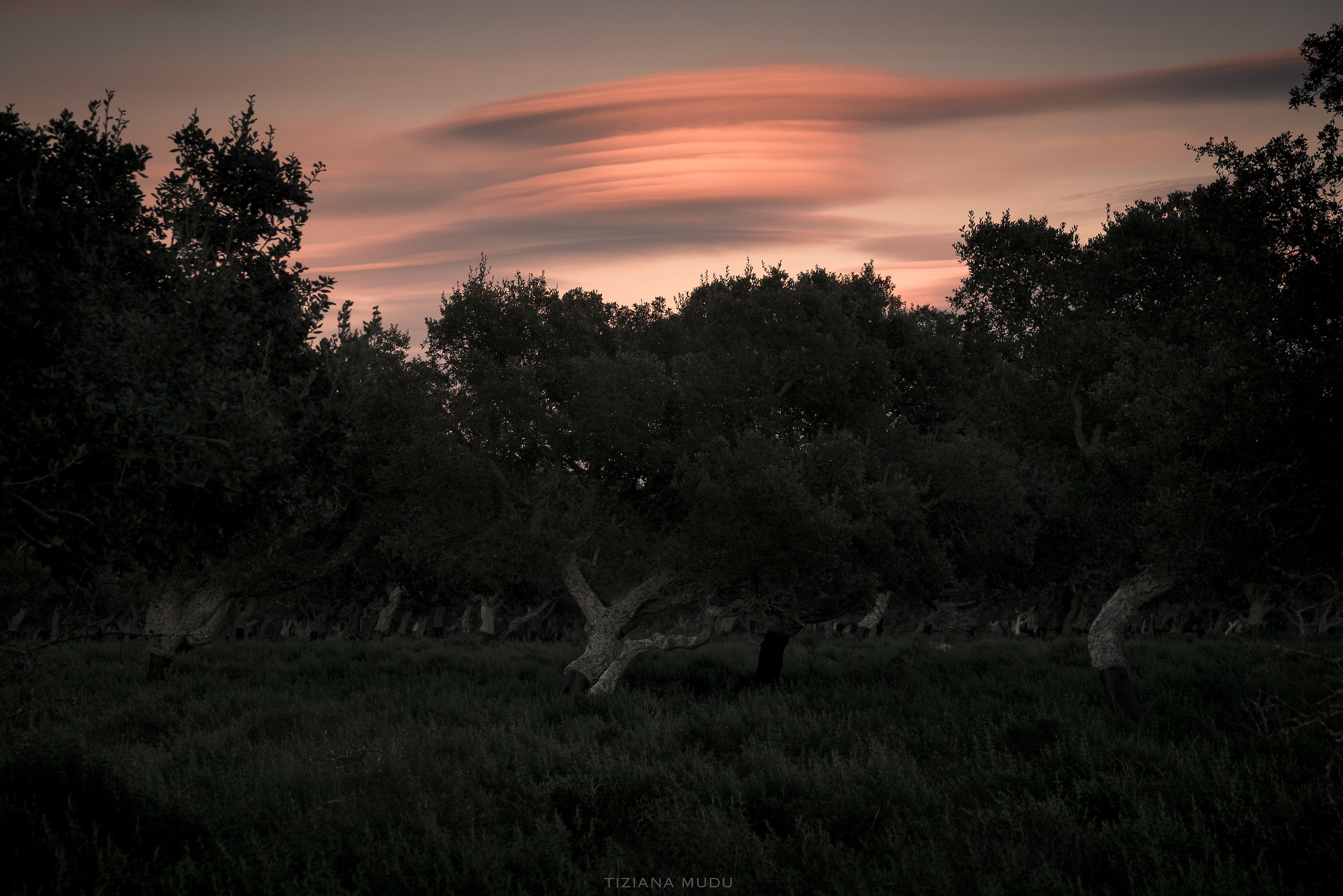 Incontri ravvicinati del terzo tipo