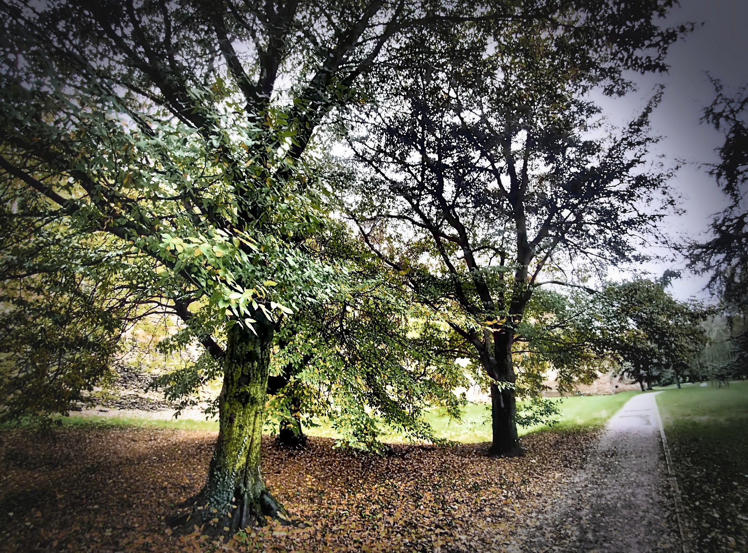 Ferrara under the walls