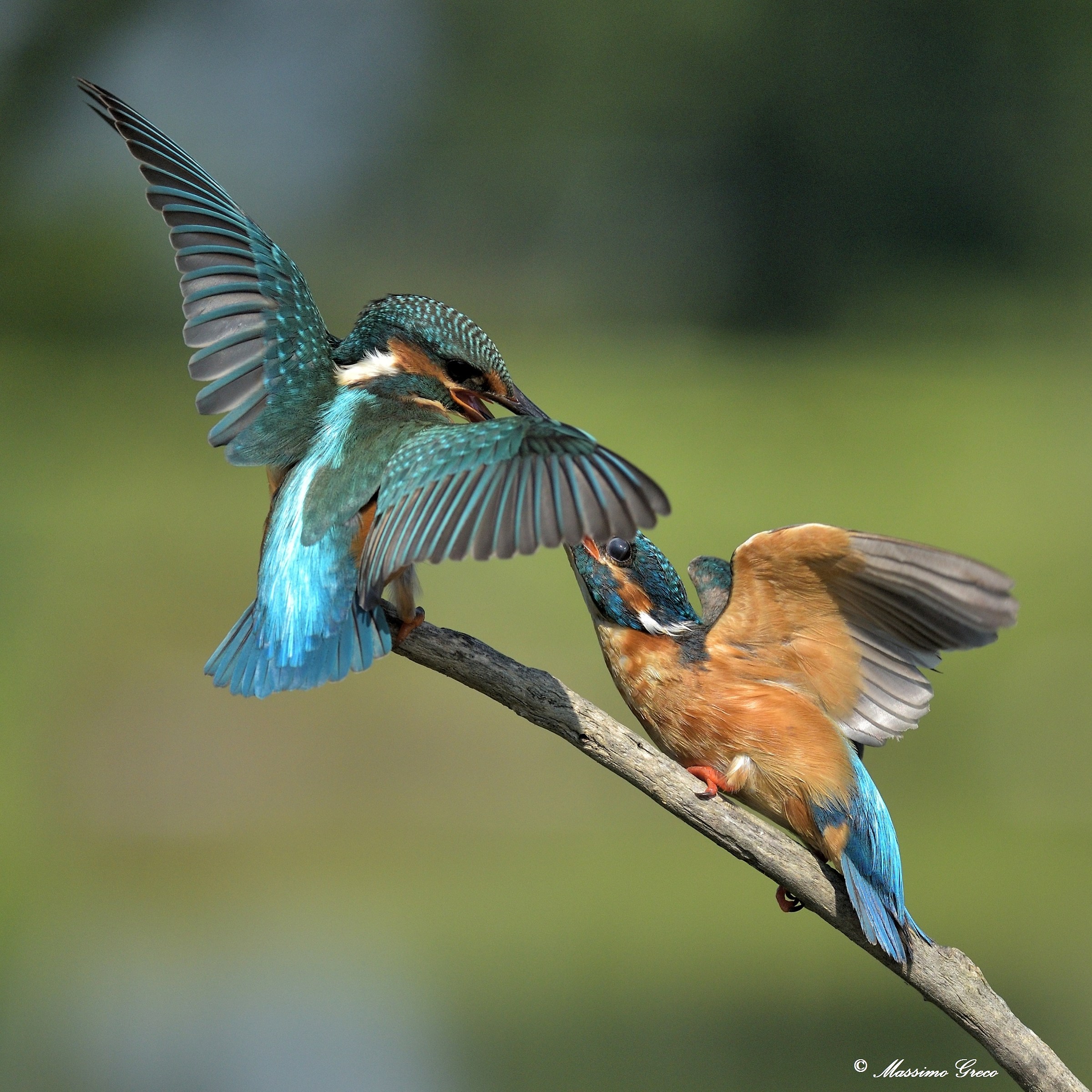 La discussione continua....