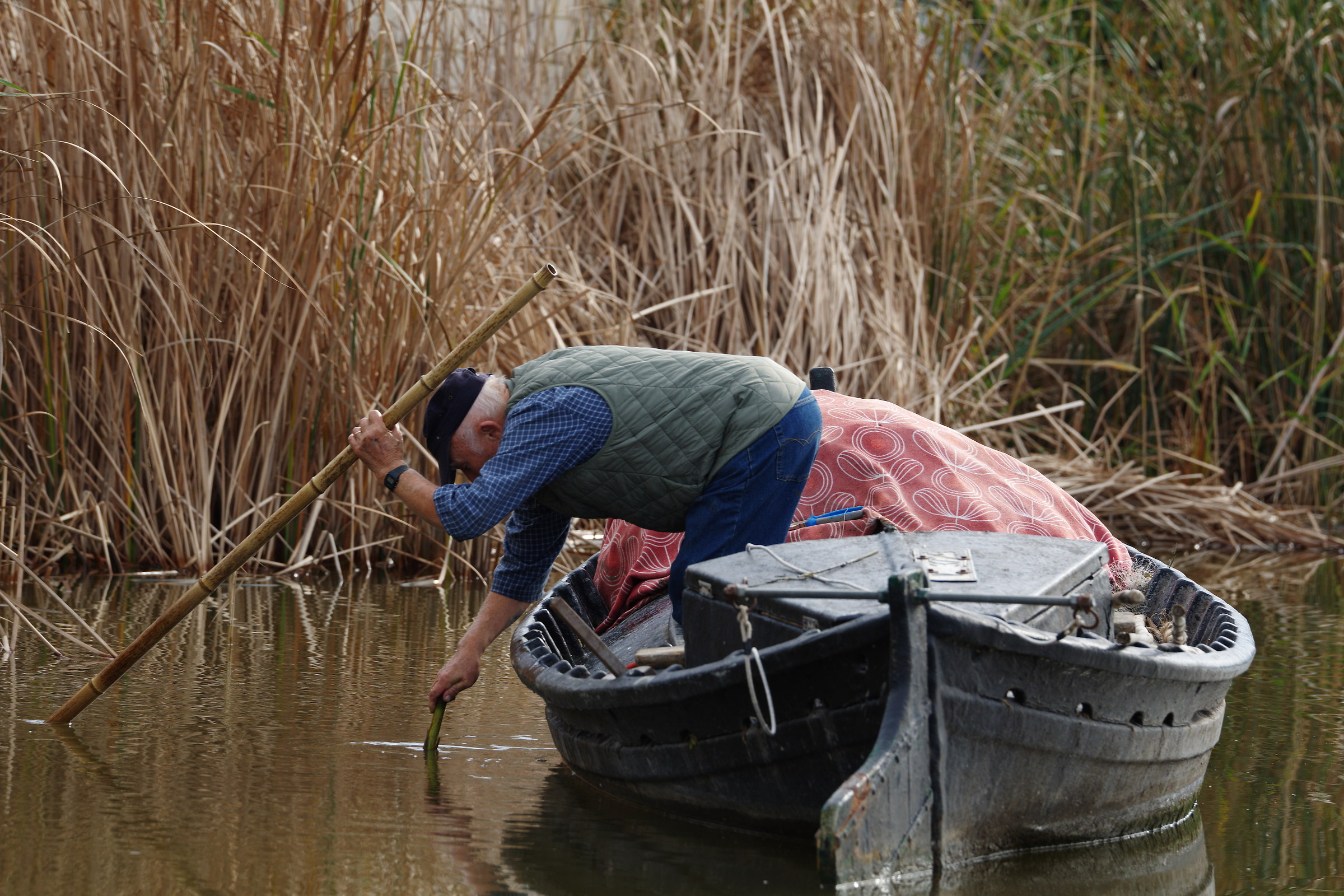 Pescatore all' Albufera