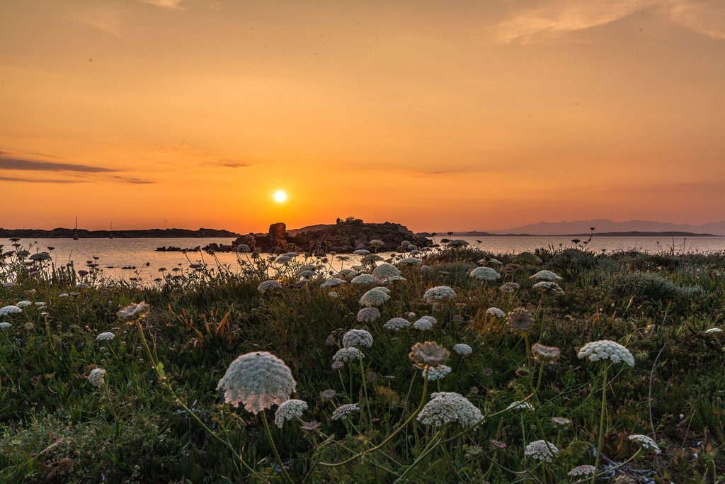 l'isola che c'è....