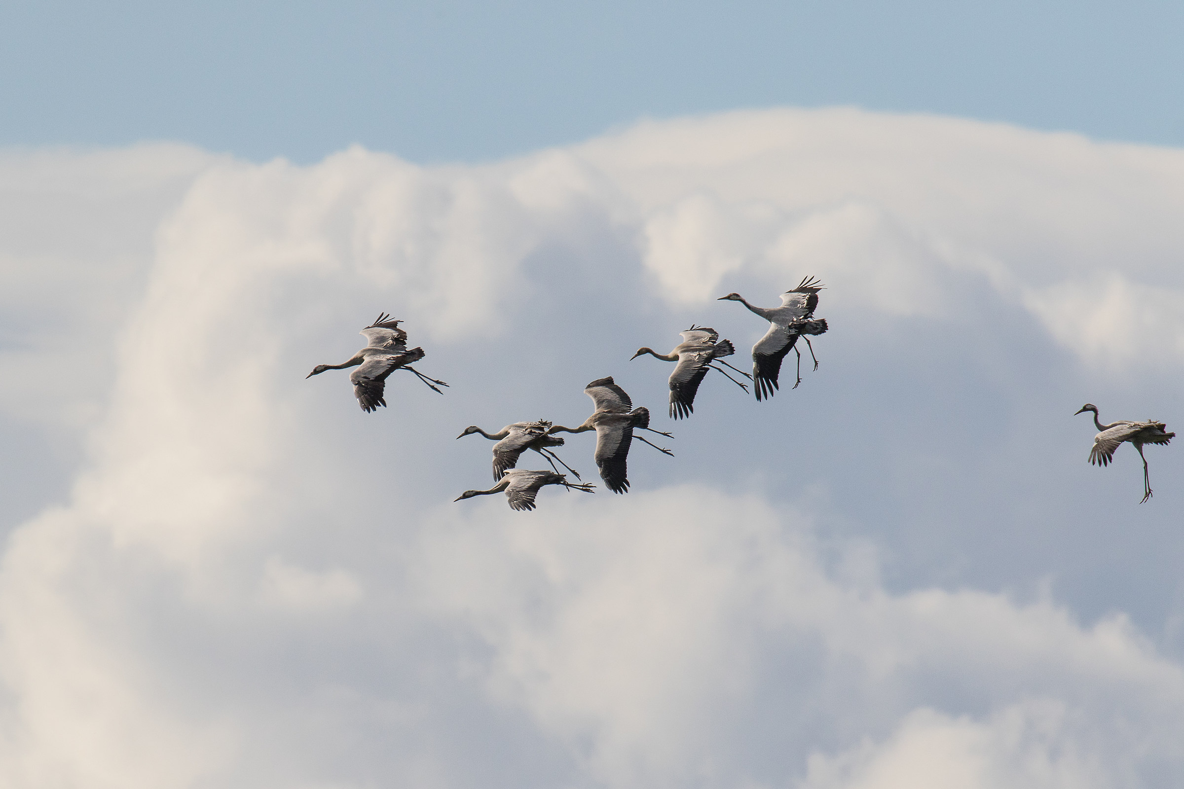 Dancing on the Clouds