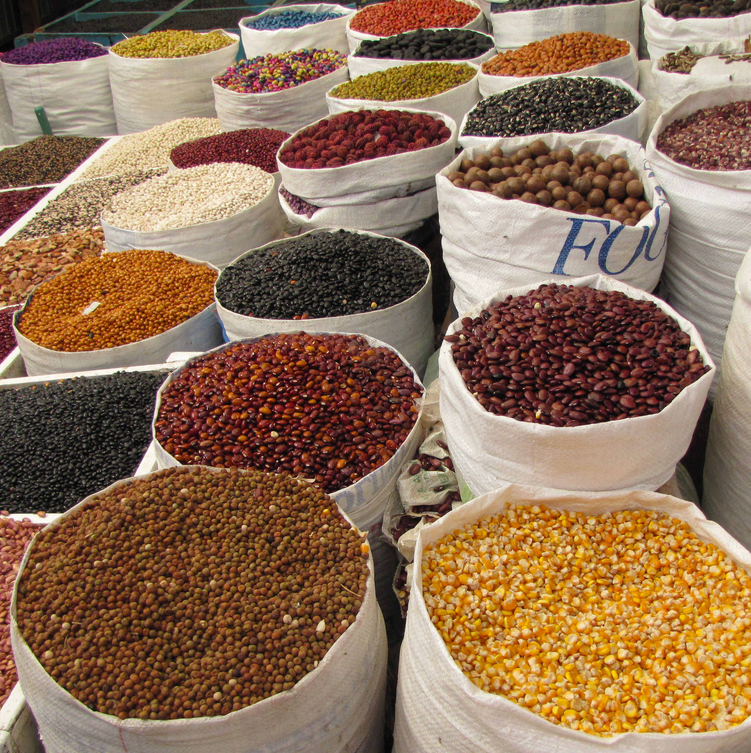 Cento sfumature di mais