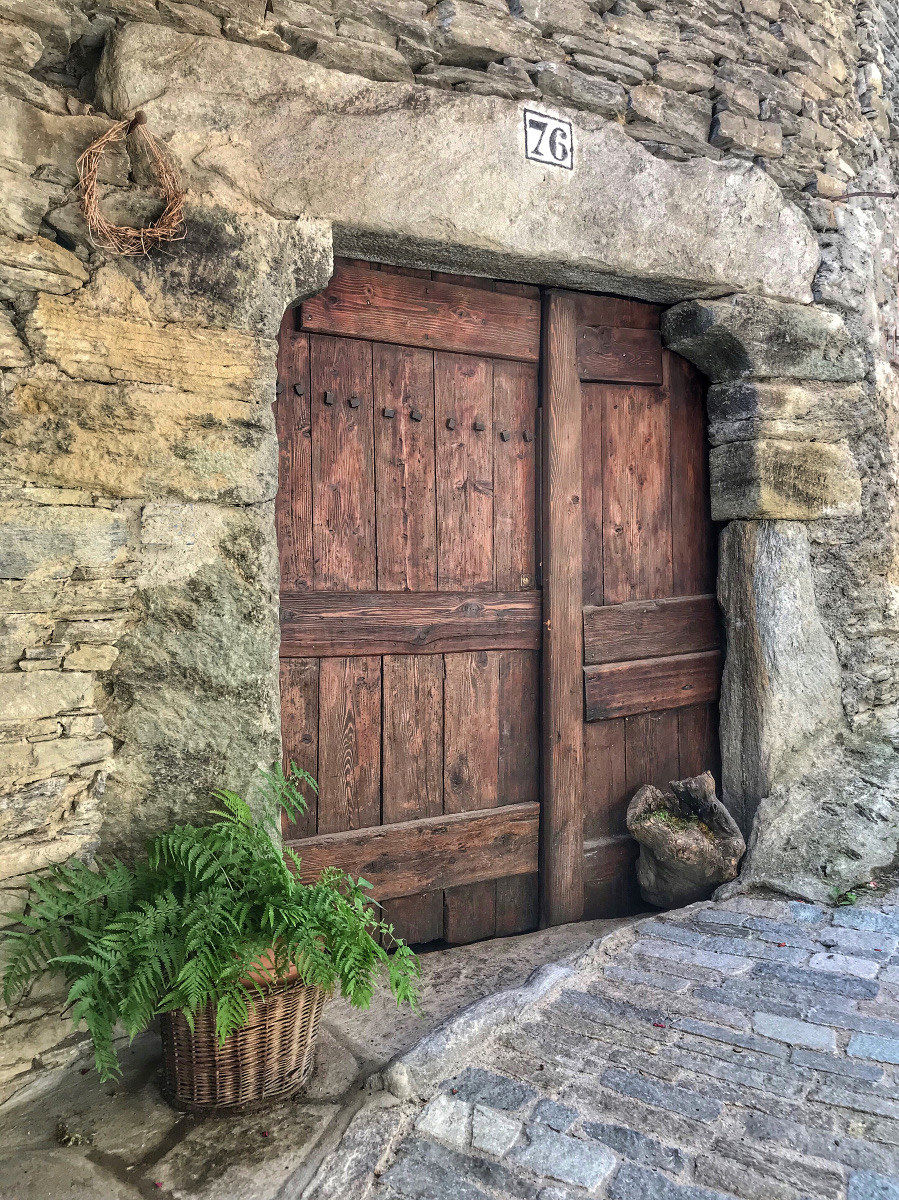 The Fern and the door