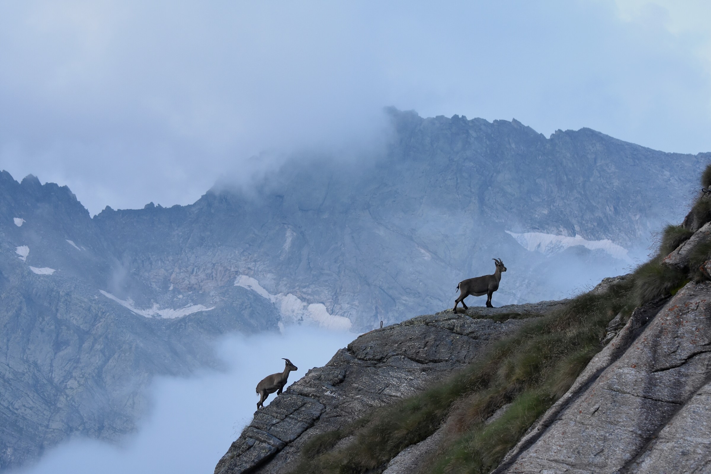 Lassù fra le alte cime...