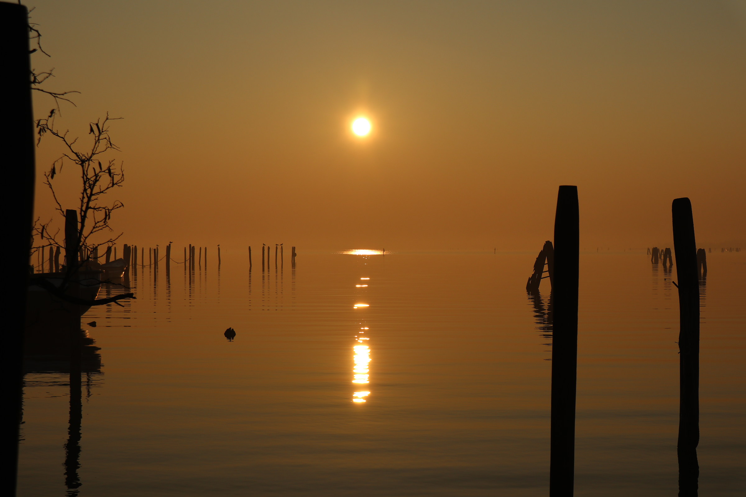 Porticciolo Campalto