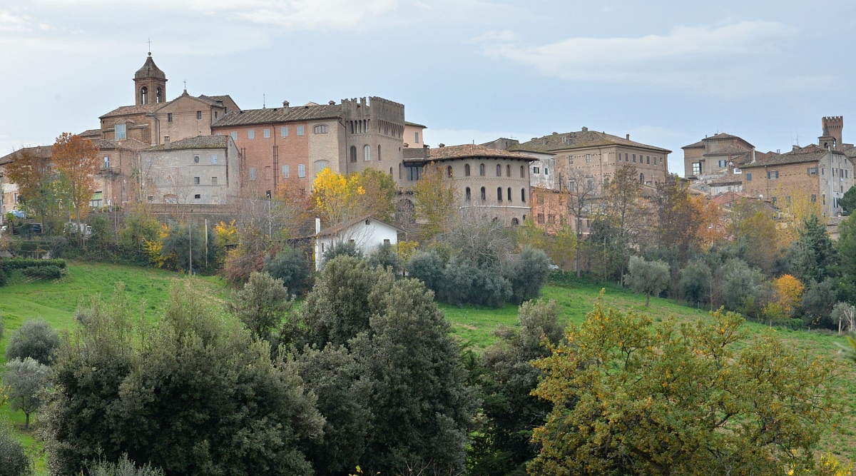 Ostra (an) dedicata a G. B.