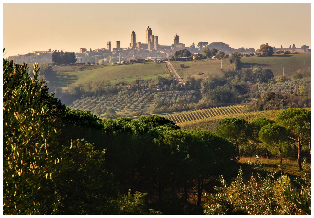 Verso San Gimignano