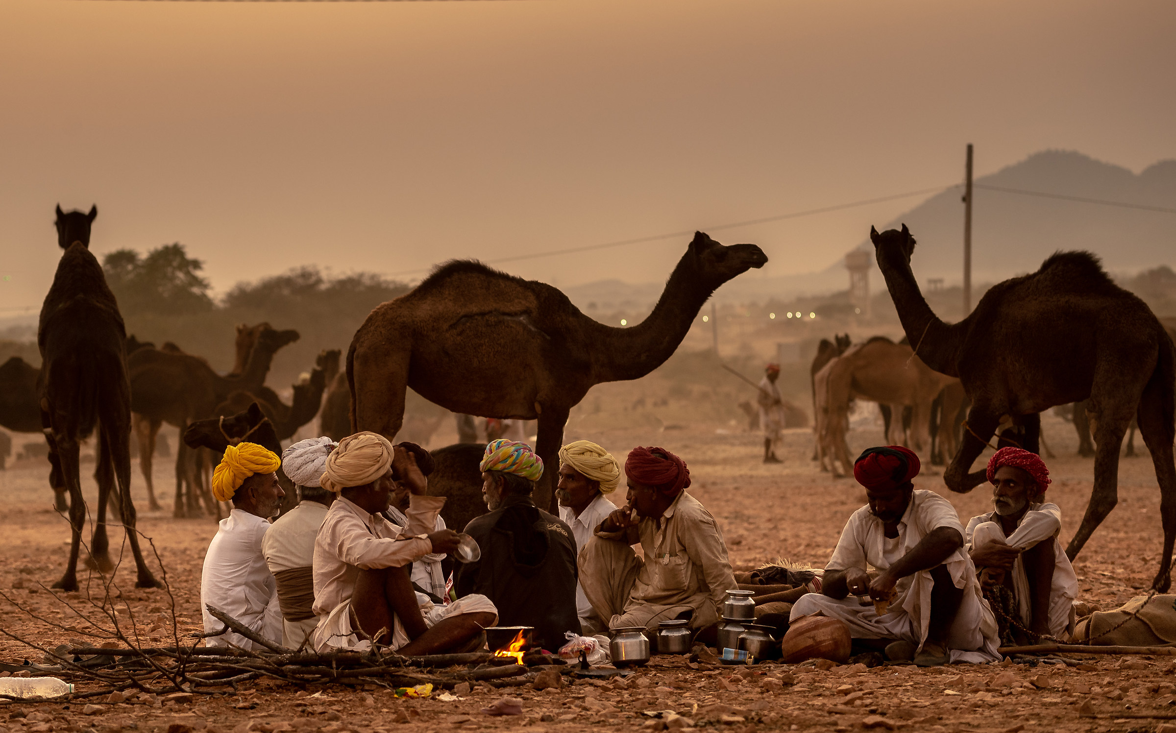 Cameleers in Pushkar