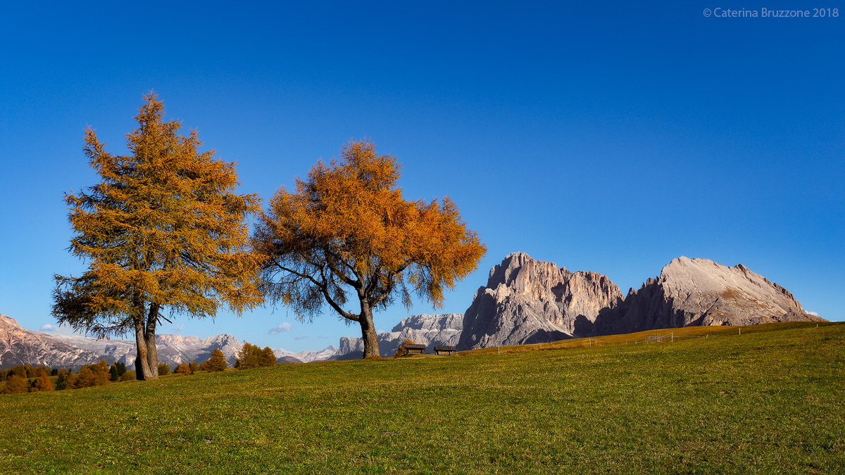 The Brothers of the Alps