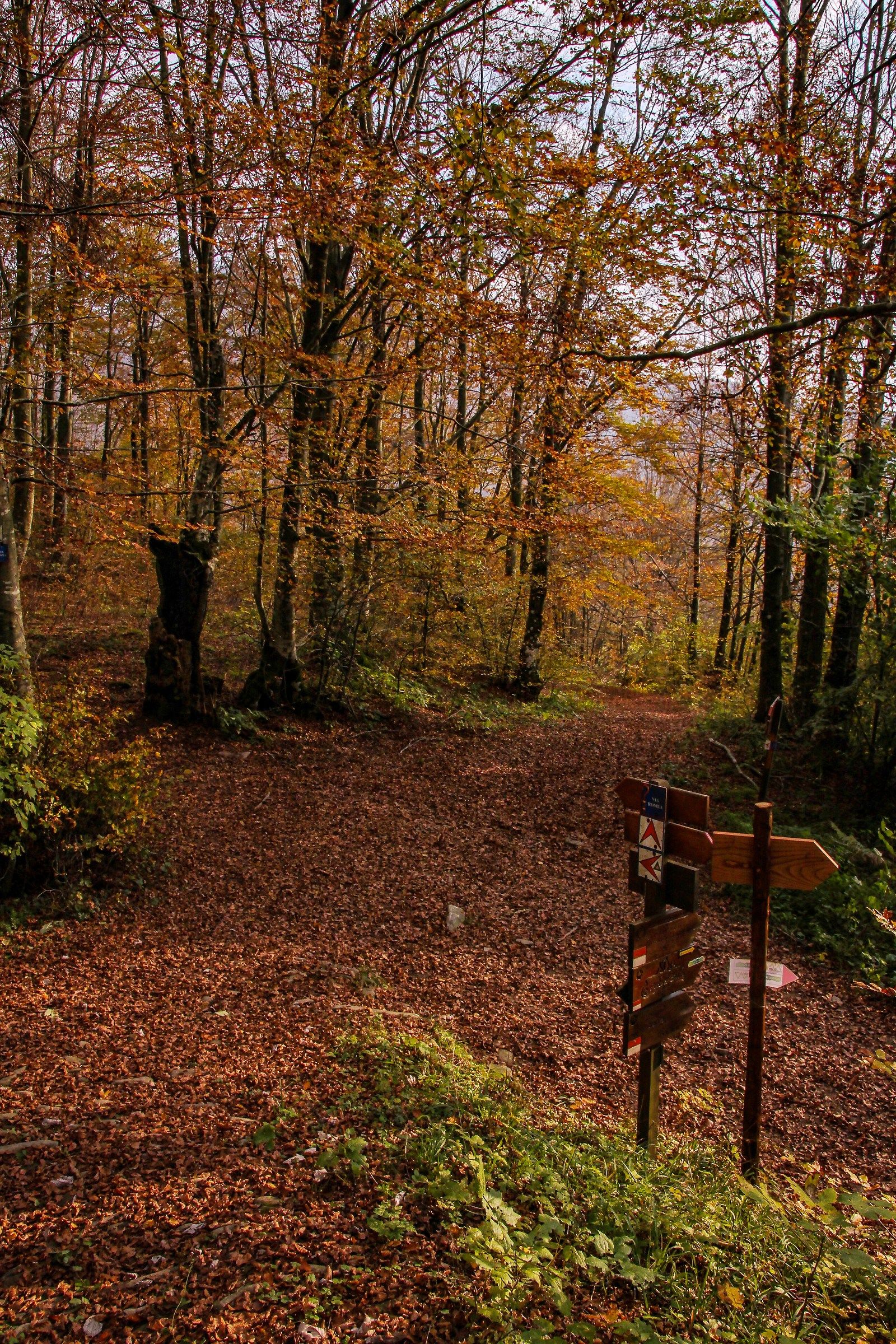 Passo Serra, Junction on Via Romea