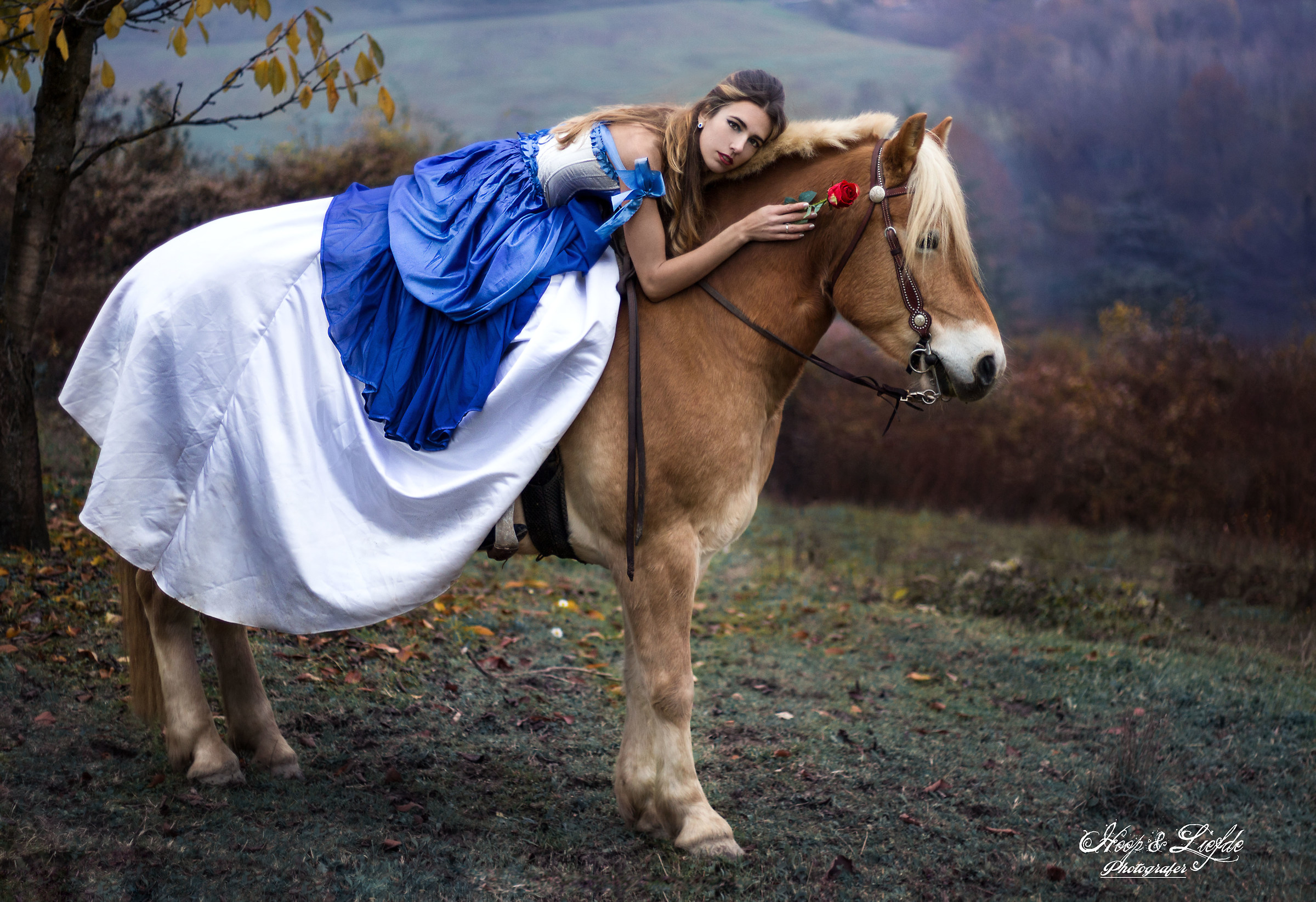 A Princess and a horse