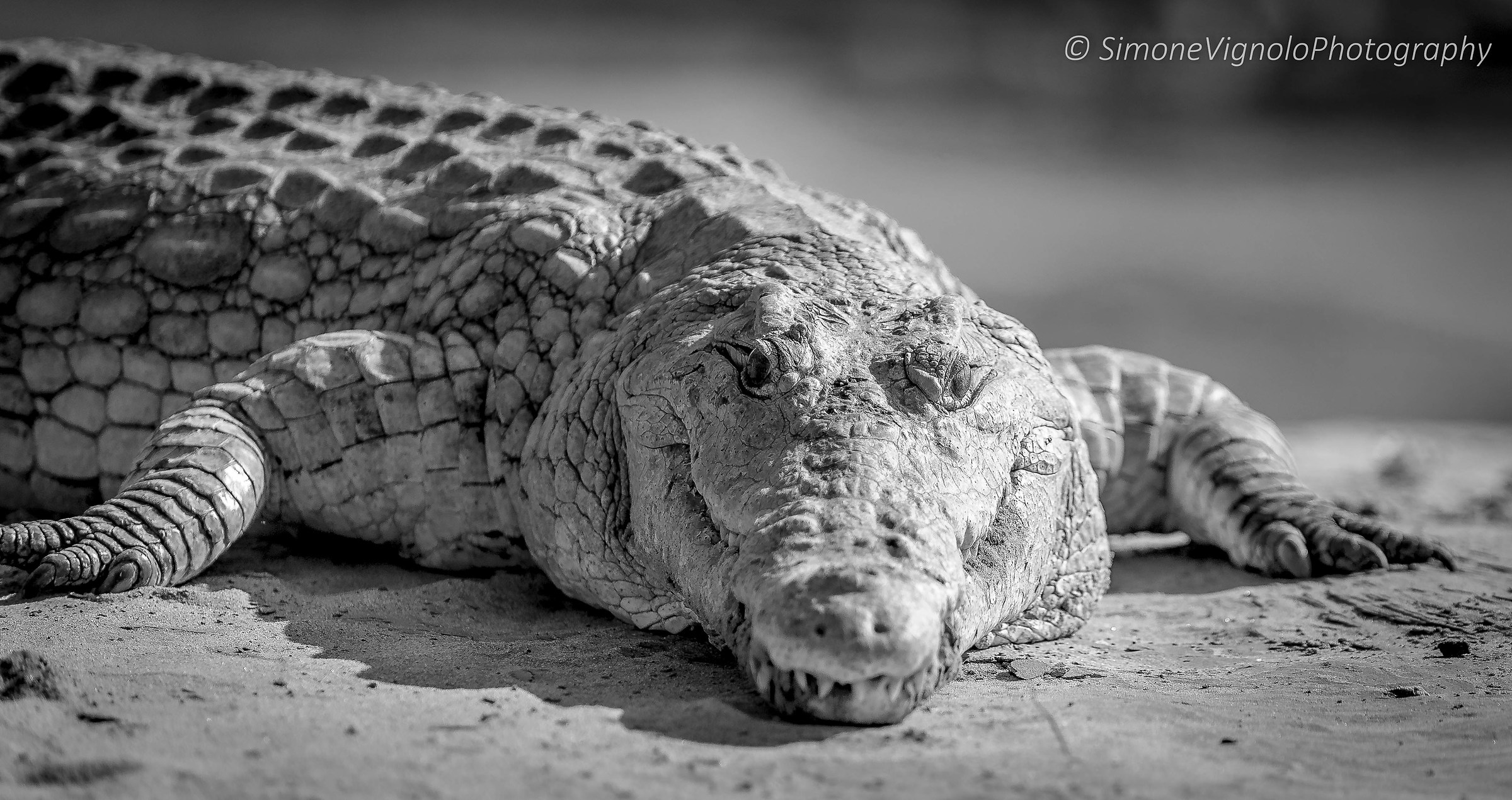 ... If only he wanted to...