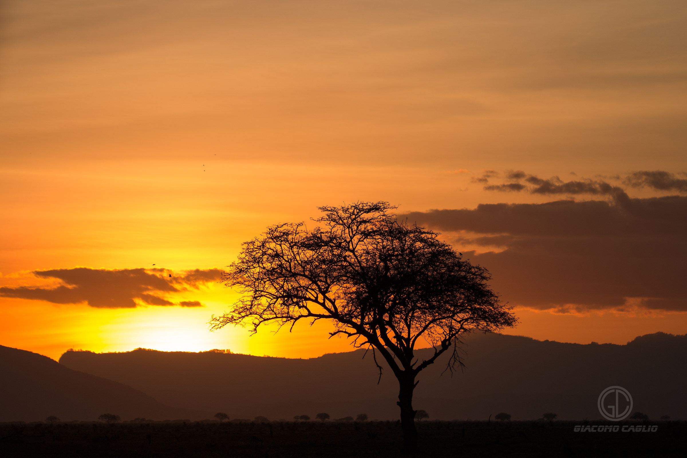 Tsavo East National Park