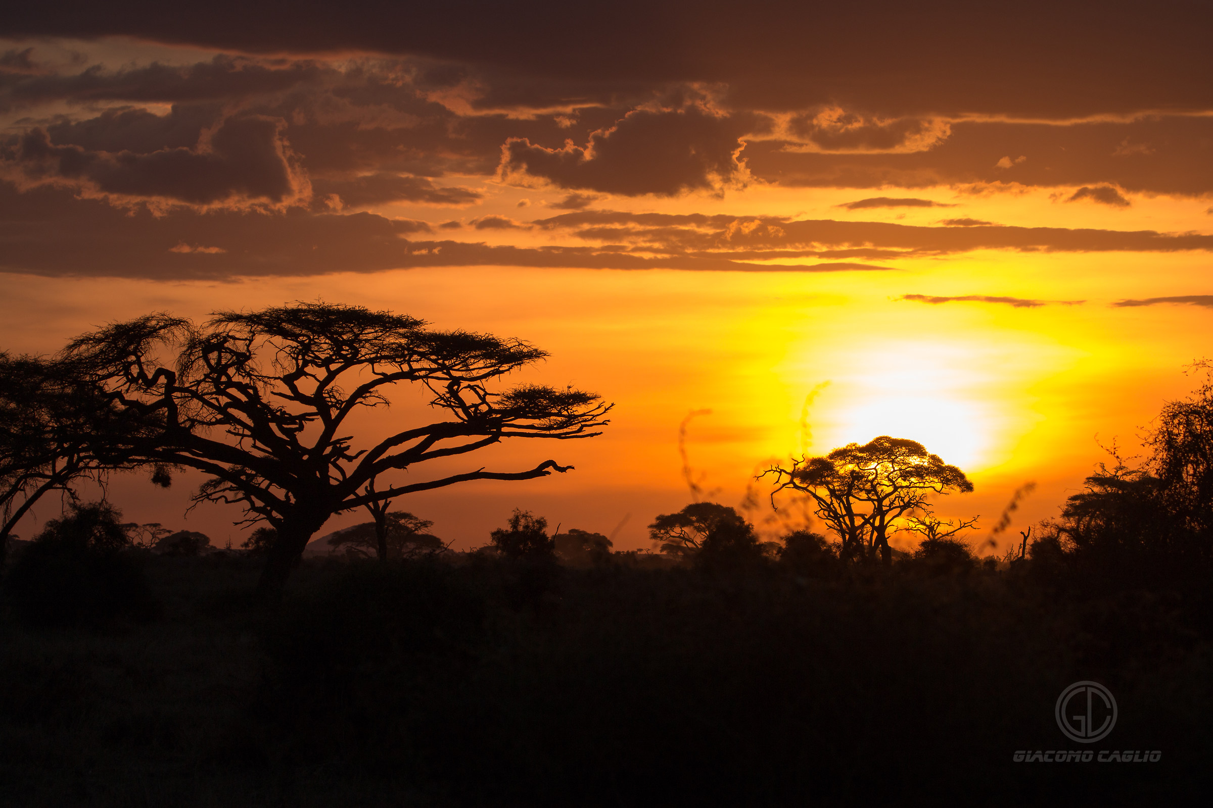 Amboseli National Park