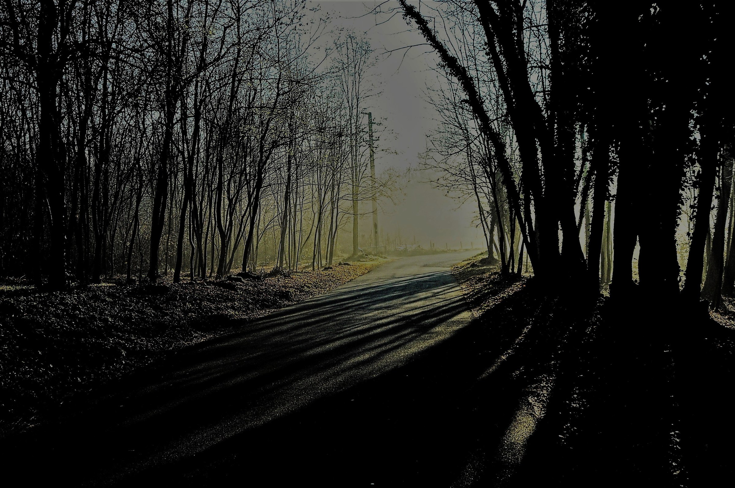 Towards the light...