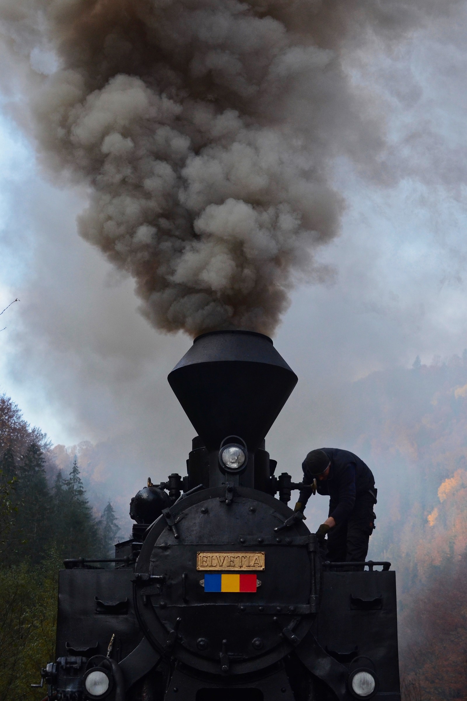 Mocanita Forest Train