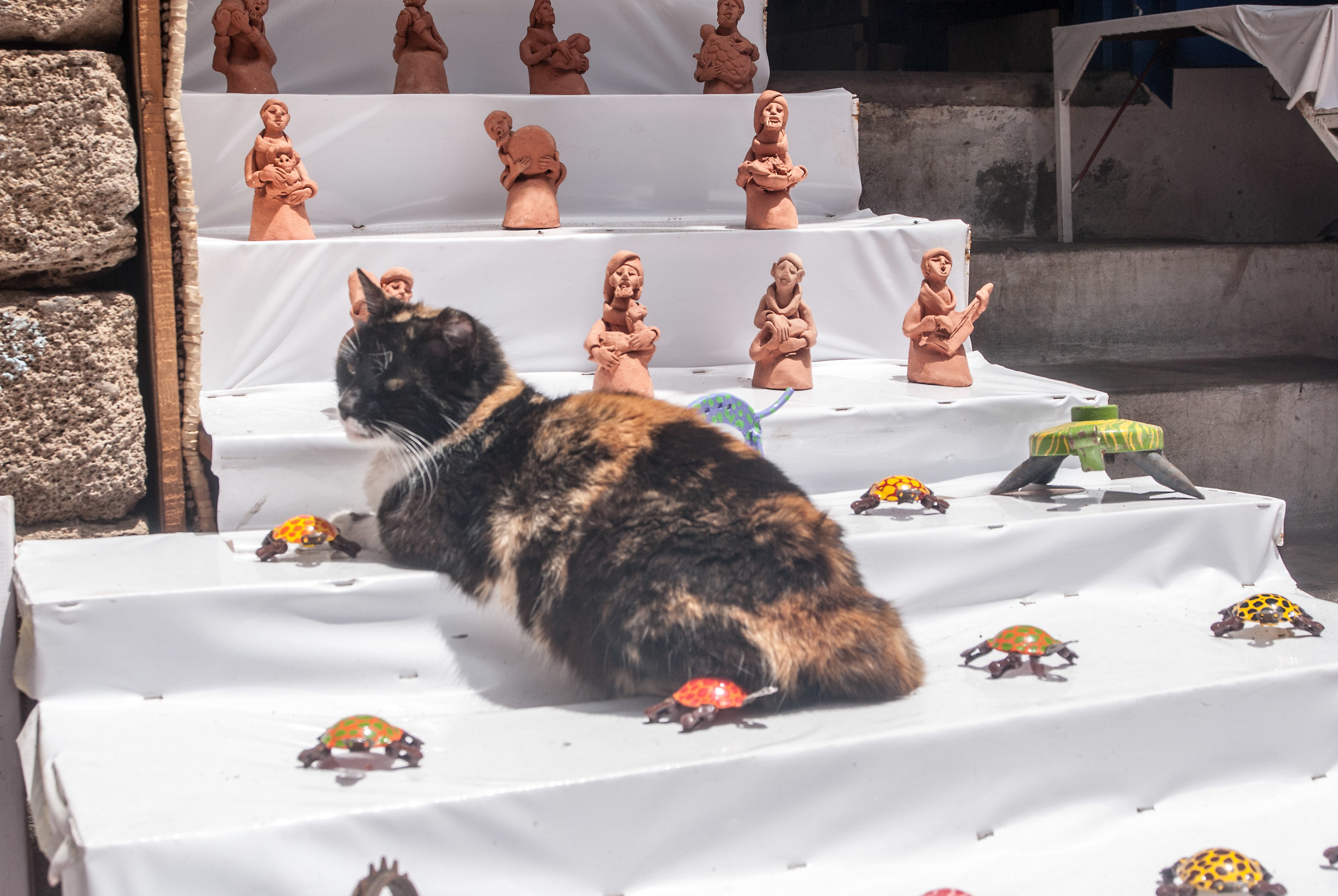 Vivere pericolosamente